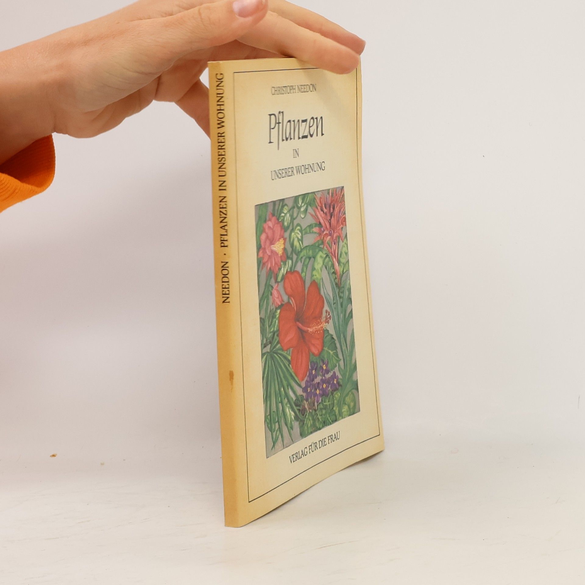 Christoph Needon Pflanzen in unserer Wohnung