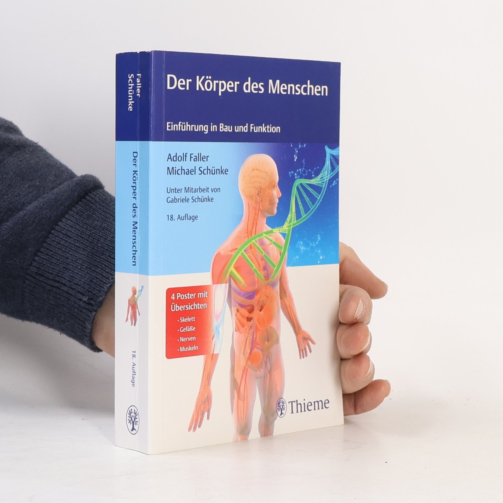 Adolf Faller Der Körper des Menschen