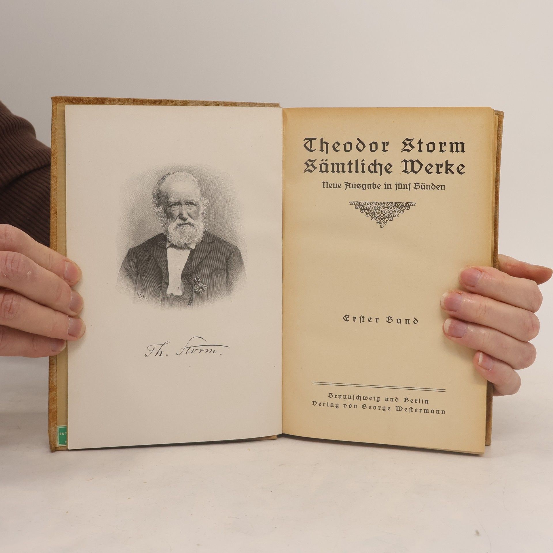 Theodor Storm Sämtliche Werke