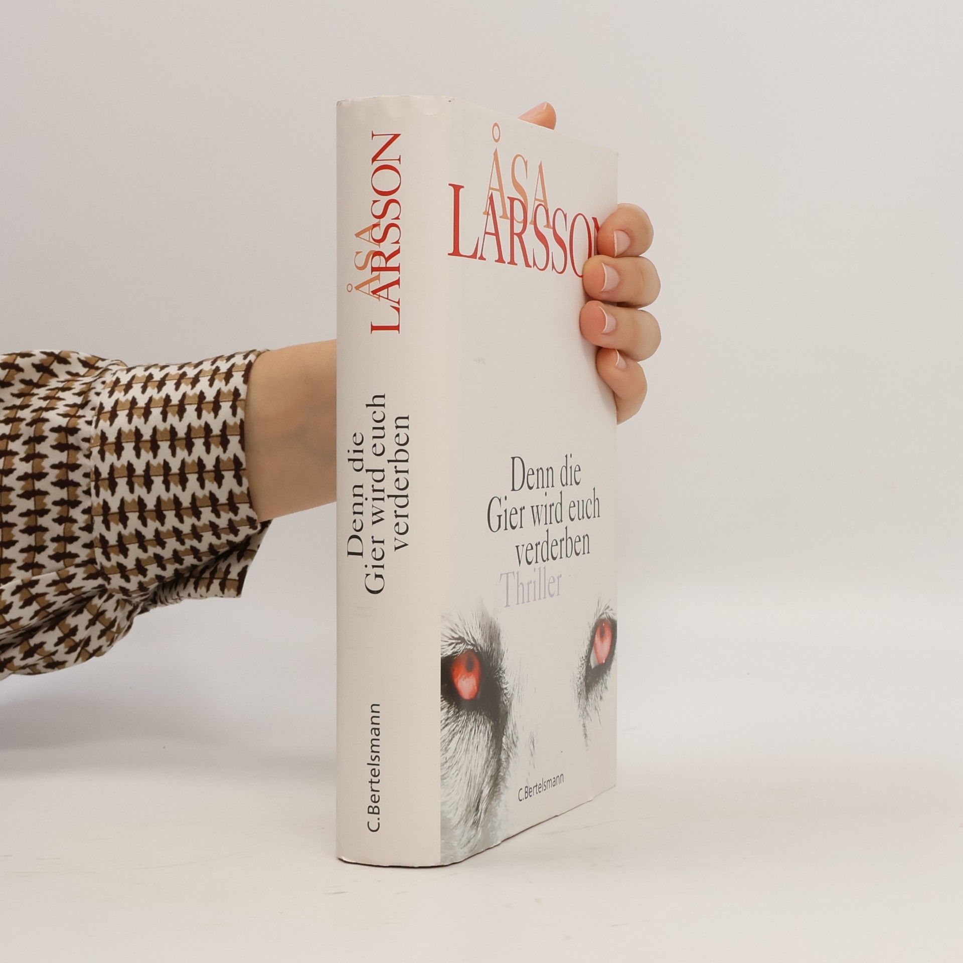 Åsa Larsson Denn die Gier wird euch verderben