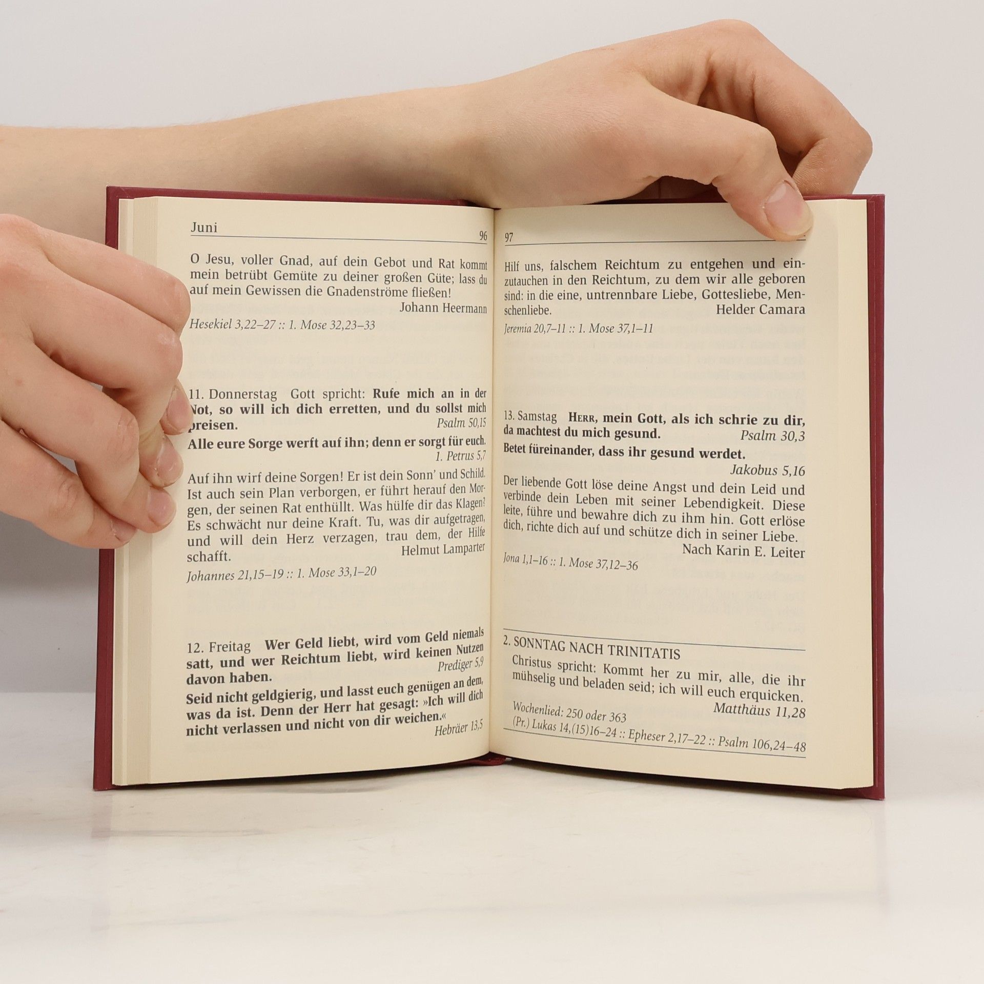 Unknown Author Die Losungen, Großdruckausgabe 2015