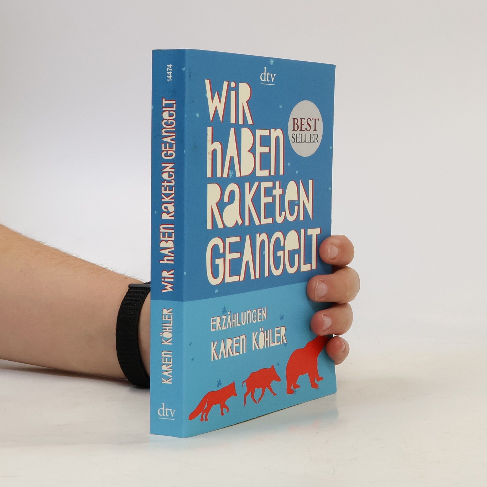 Karen Köhler Wir haben Raketen geangelt