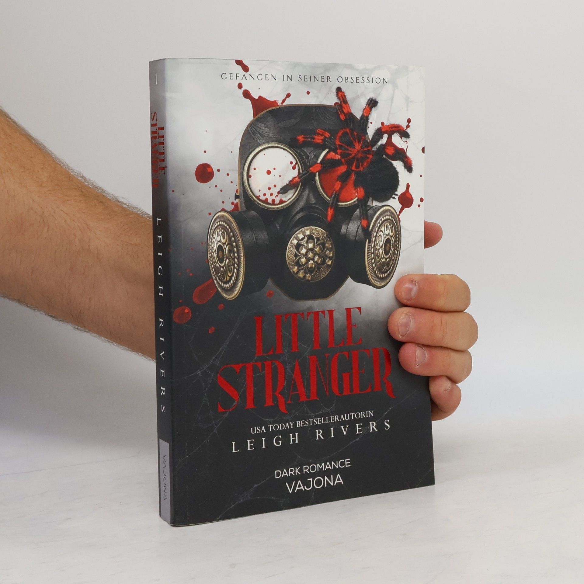 Leigh Rivers Little Stranger