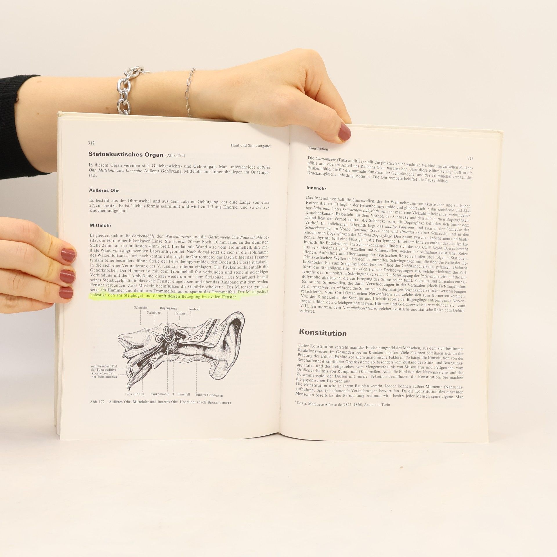 Gerald Leutert Systematische und funktionelle Anatomie des Menschen für medizinische Assistenzberufe