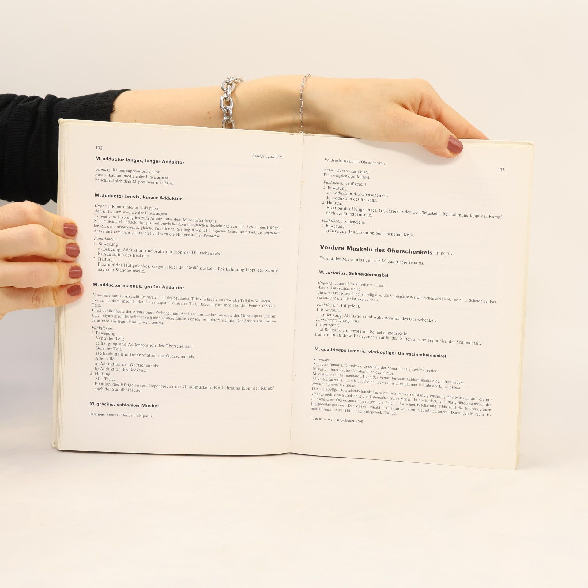 Gerald Leutert Systematische und funktionelle Anatomie des Menschen für medizinische Assistenzberufe