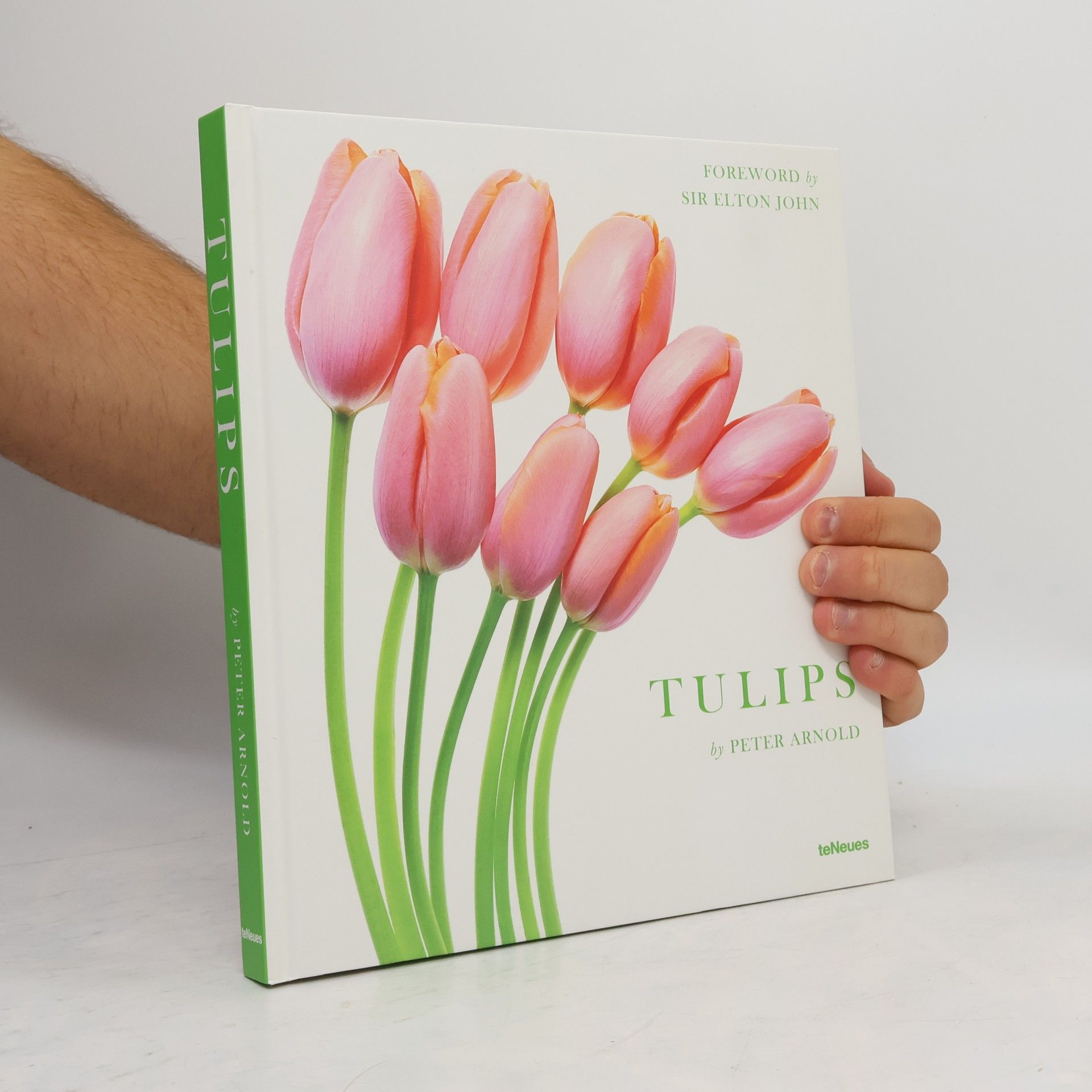 Tulips