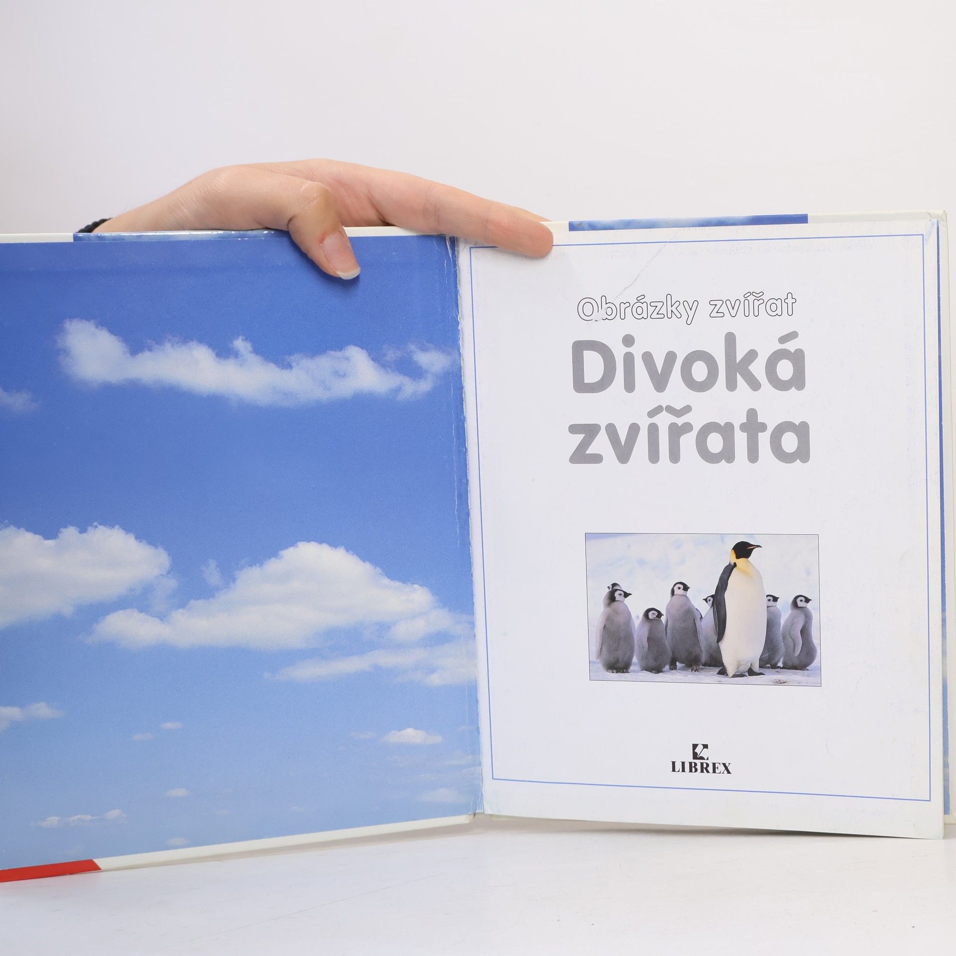 Autorenkollektiv Divoká zvířata