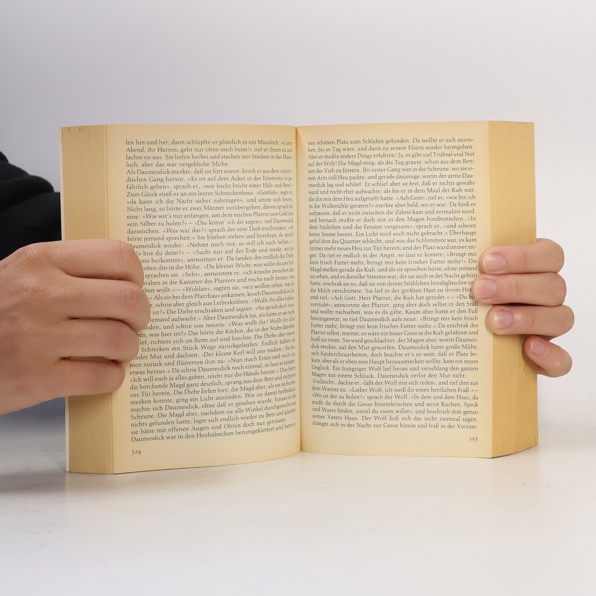Wilhelm Hauff Deutsche Märchen und Sagen