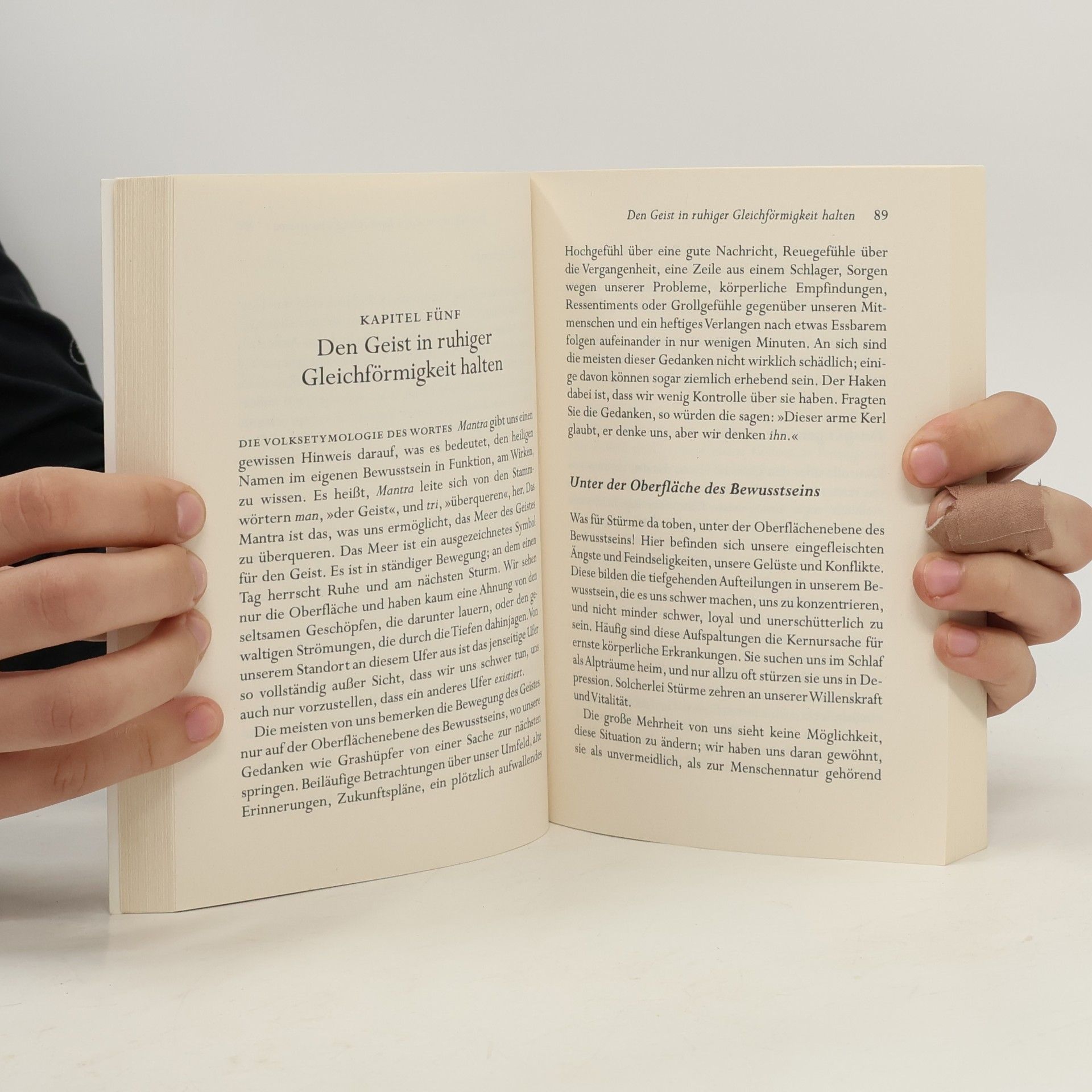 Eknath Easwaran Das Mantra-Buch