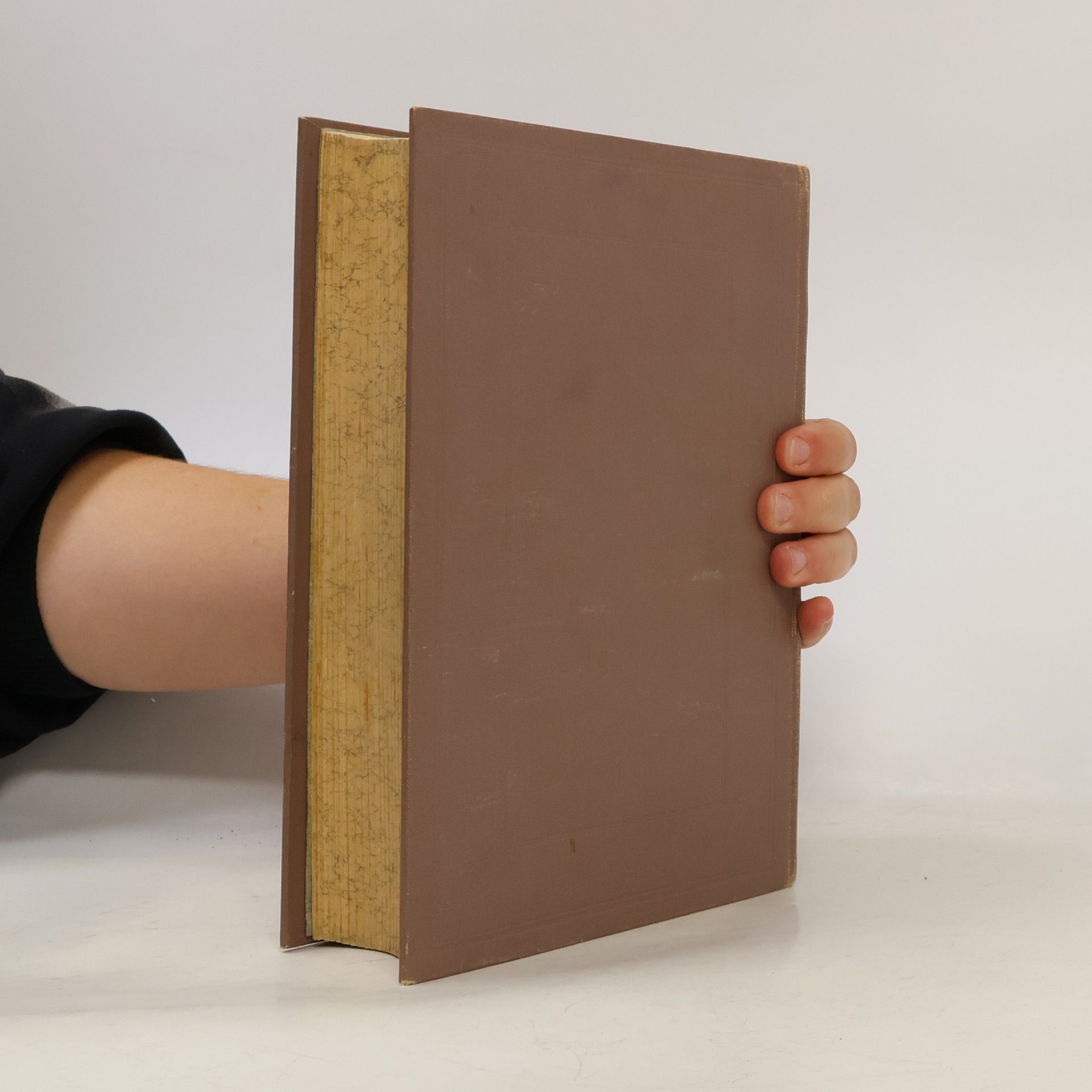 Henriette Davidis Praktisches Kochbuch für die gewöhnliche und feinere Küche