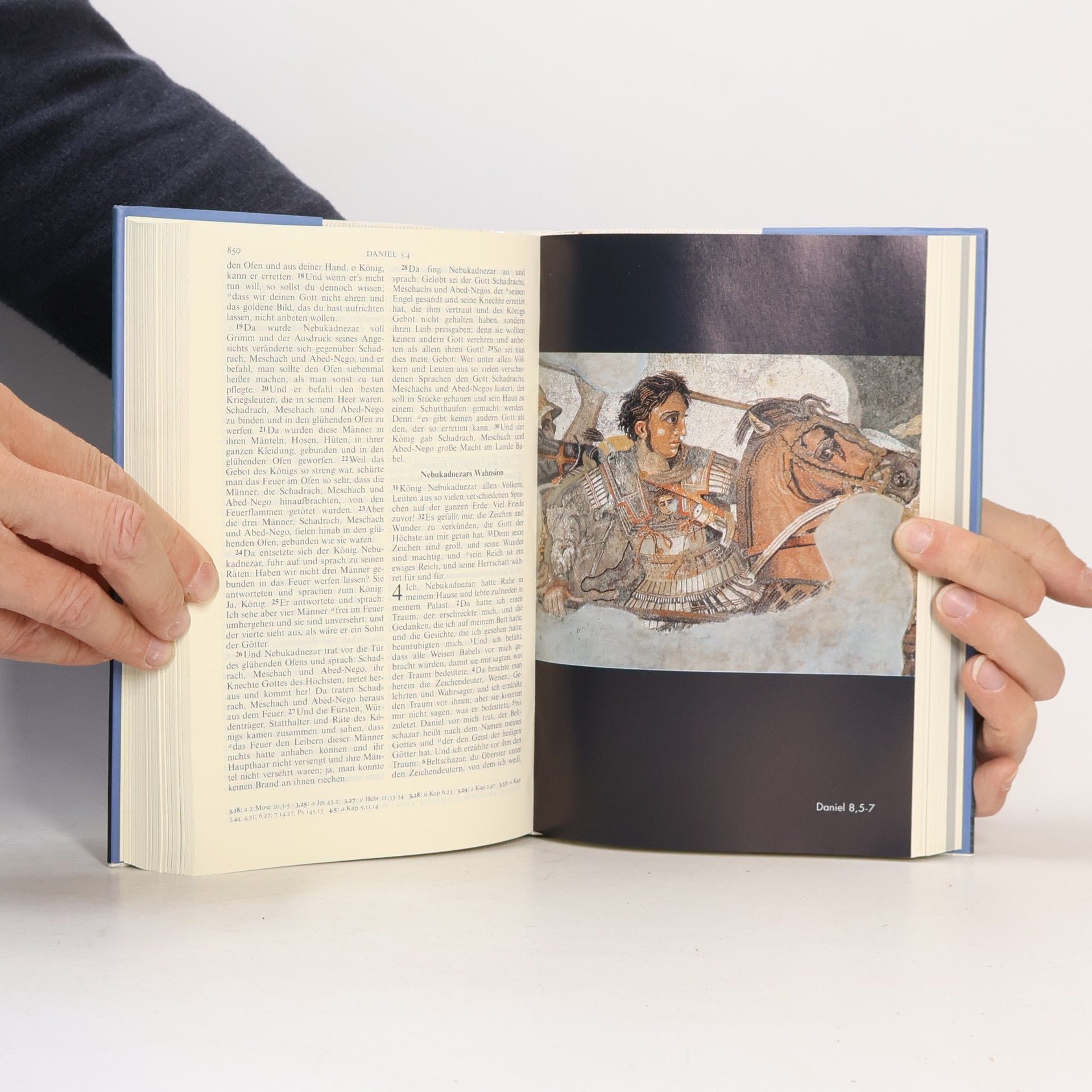 Martin Luther Bibelausgaben, Die Bibel nach der Übersetzung Martin Luthers, mit Bildern aus dem Heiligen Land (Nr.1584)