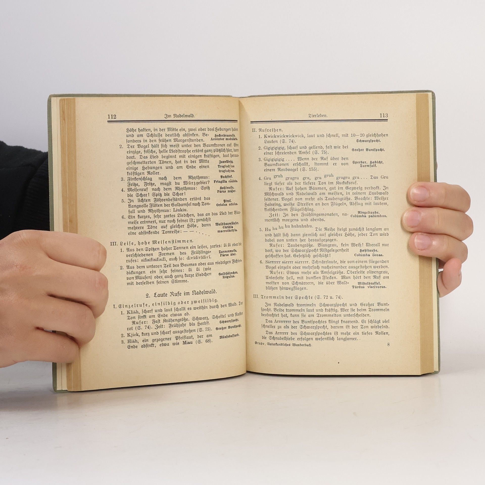 Heinrich Grupe Naturkundliches Wanderbuch