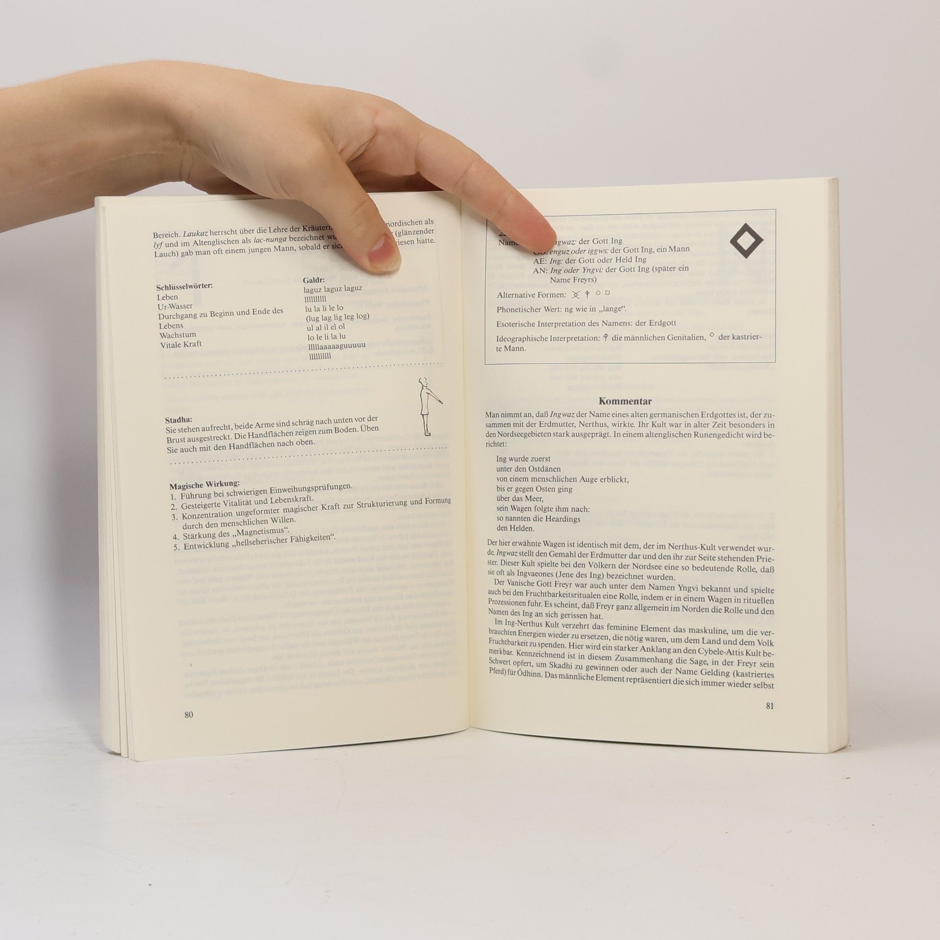 Stephen Edred Flowers Handbuch der Runen-Magie