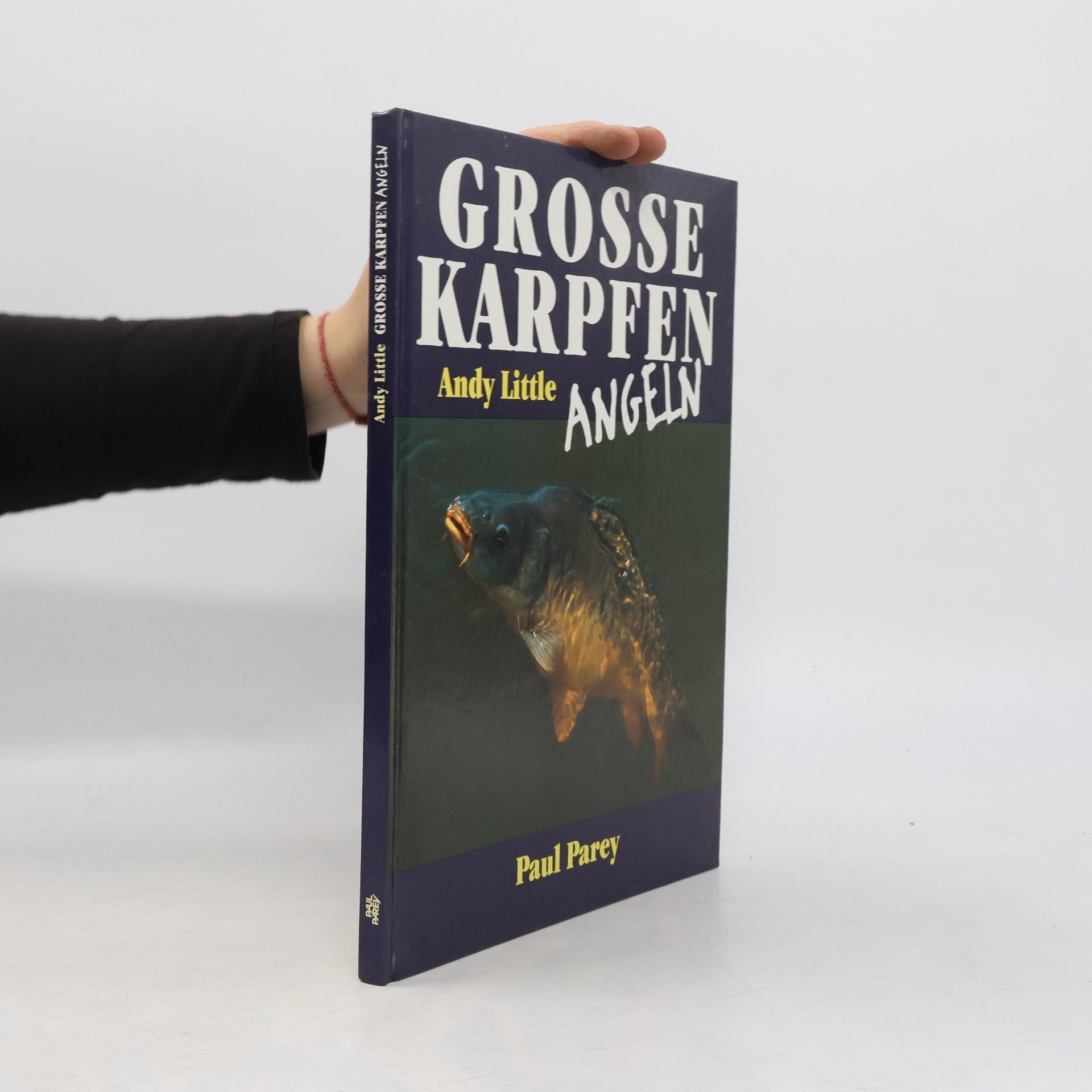 Grosse Karpfen angeln