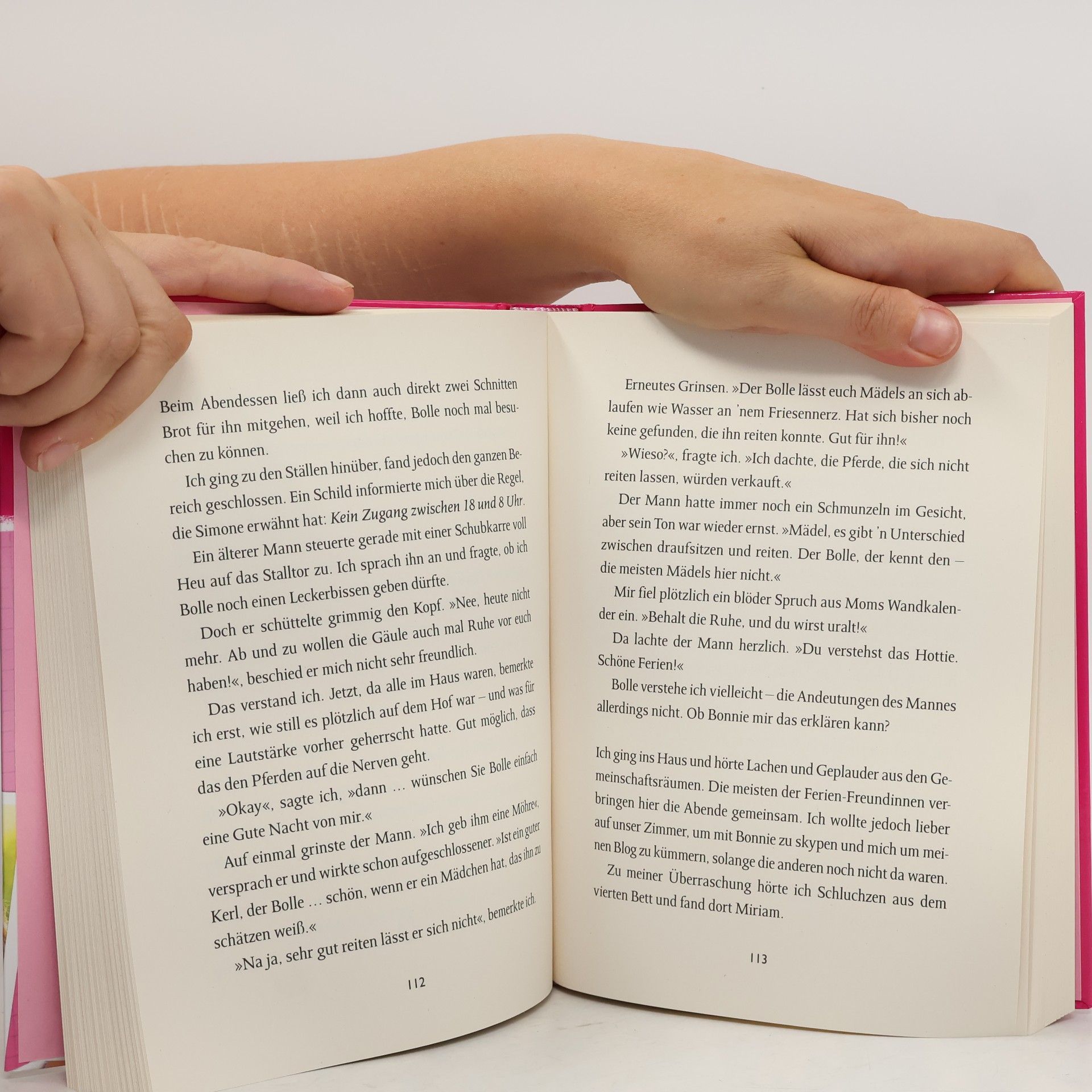 Christiane Gohl Majas Sattel-Blog - Alles Pony, oder was?