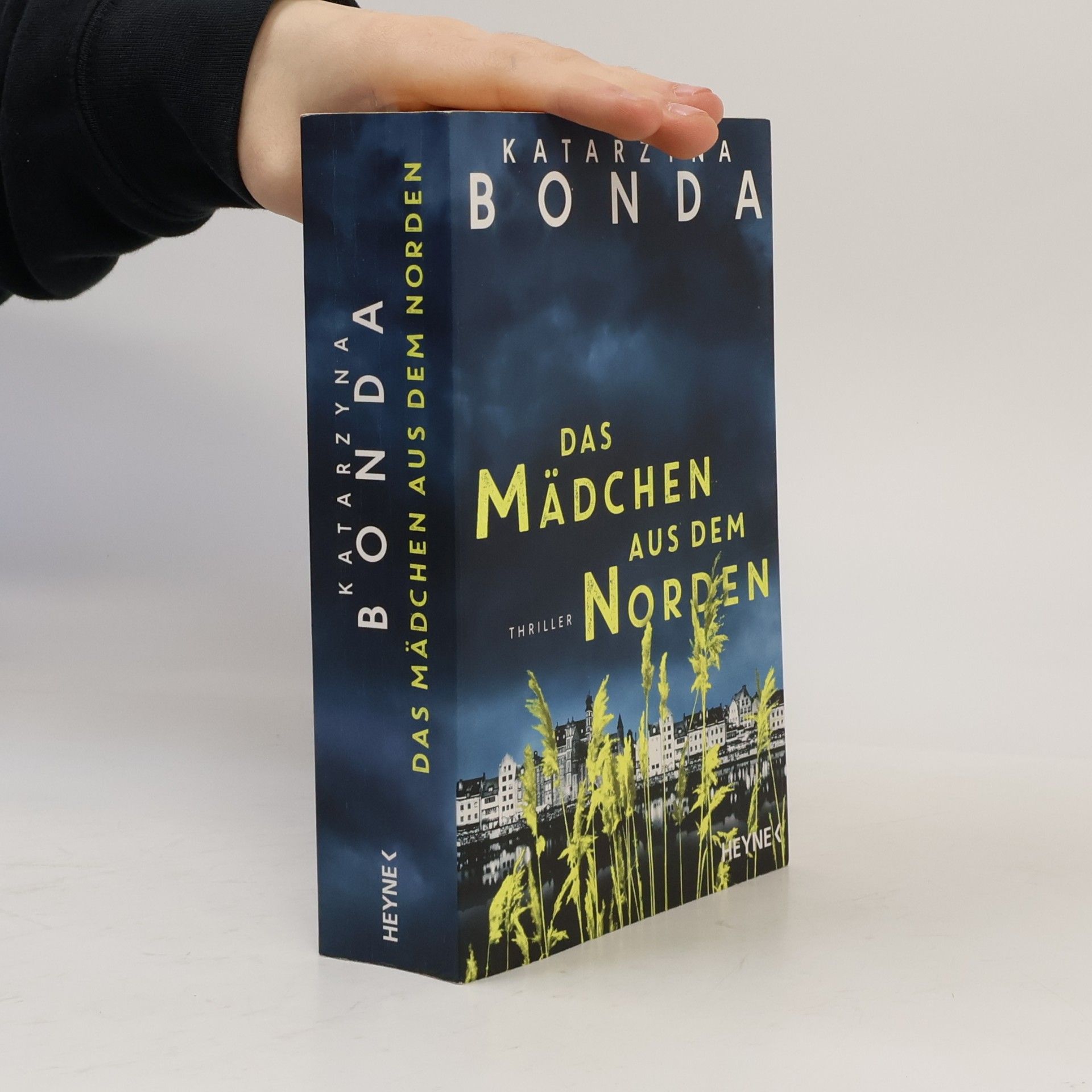 Katarzyna Bonda Das Mädchen aus dem Norden