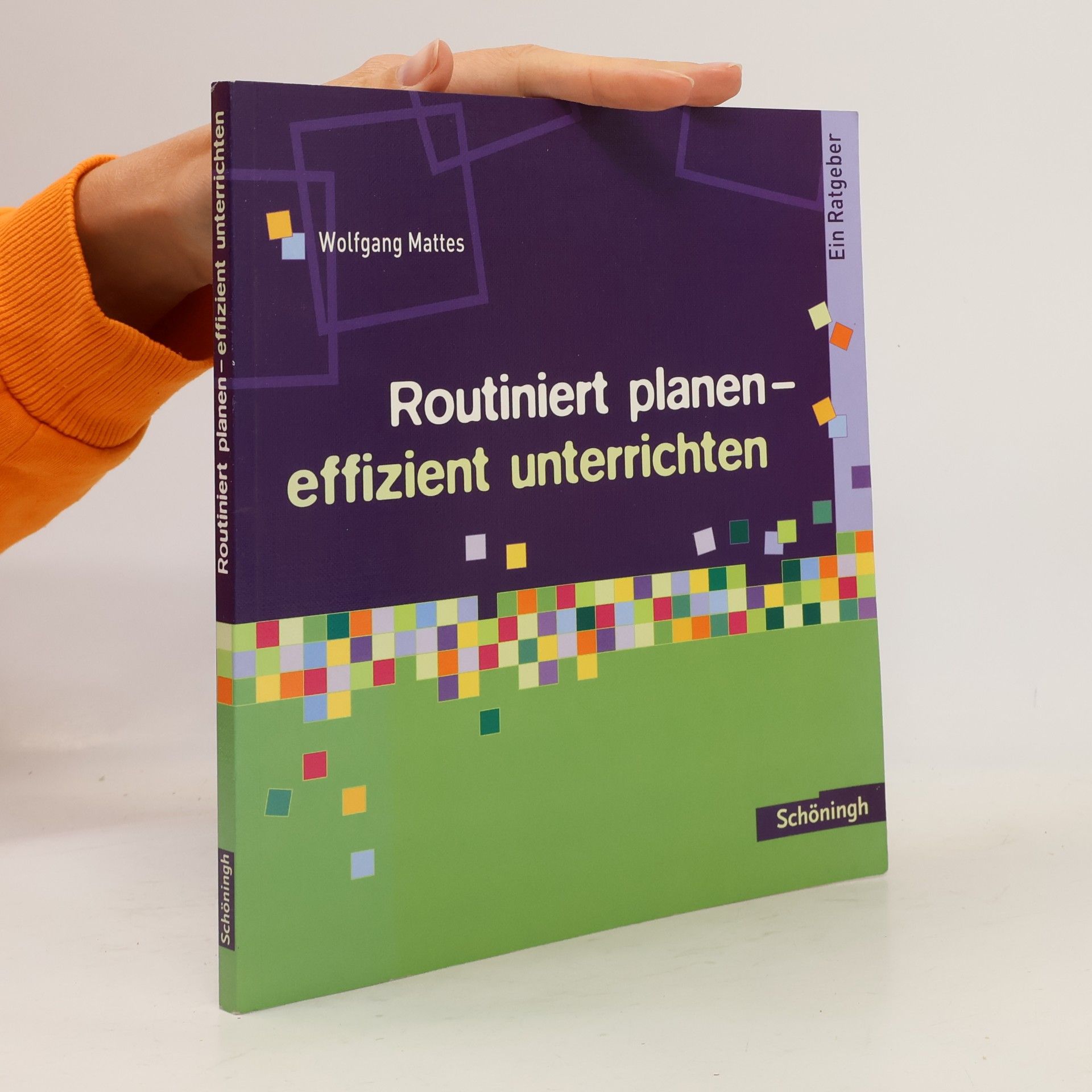 Wolfgang Mattes Routiniert planen - effizient unterrichten