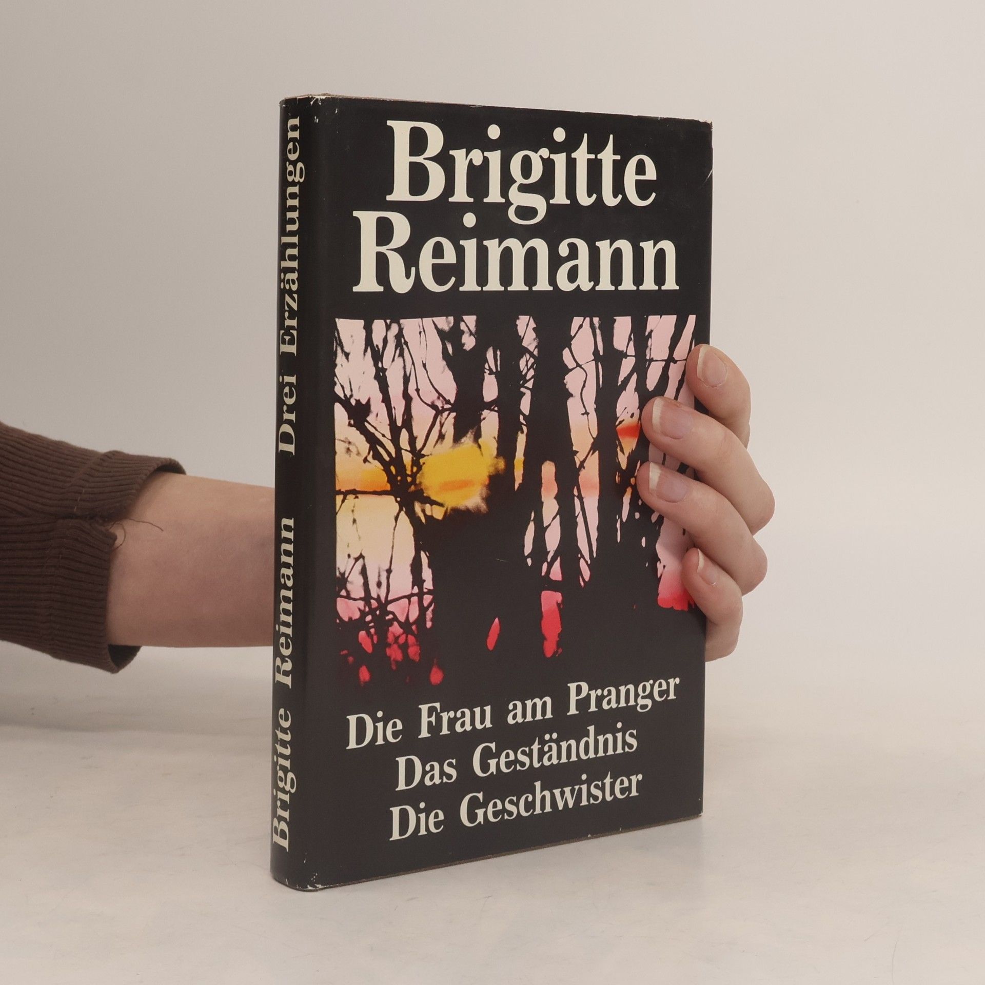 Brigitte Reimann Die Frau am Pranger