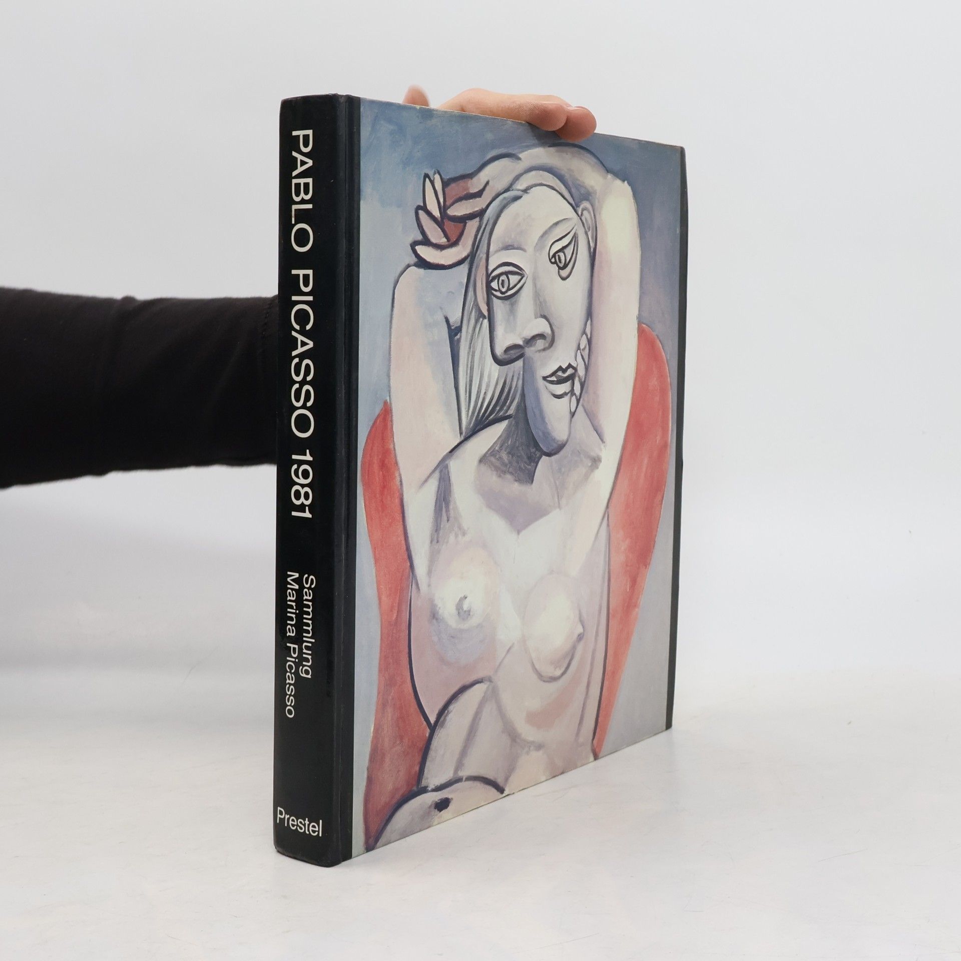 kolektiv Pablo Picasso