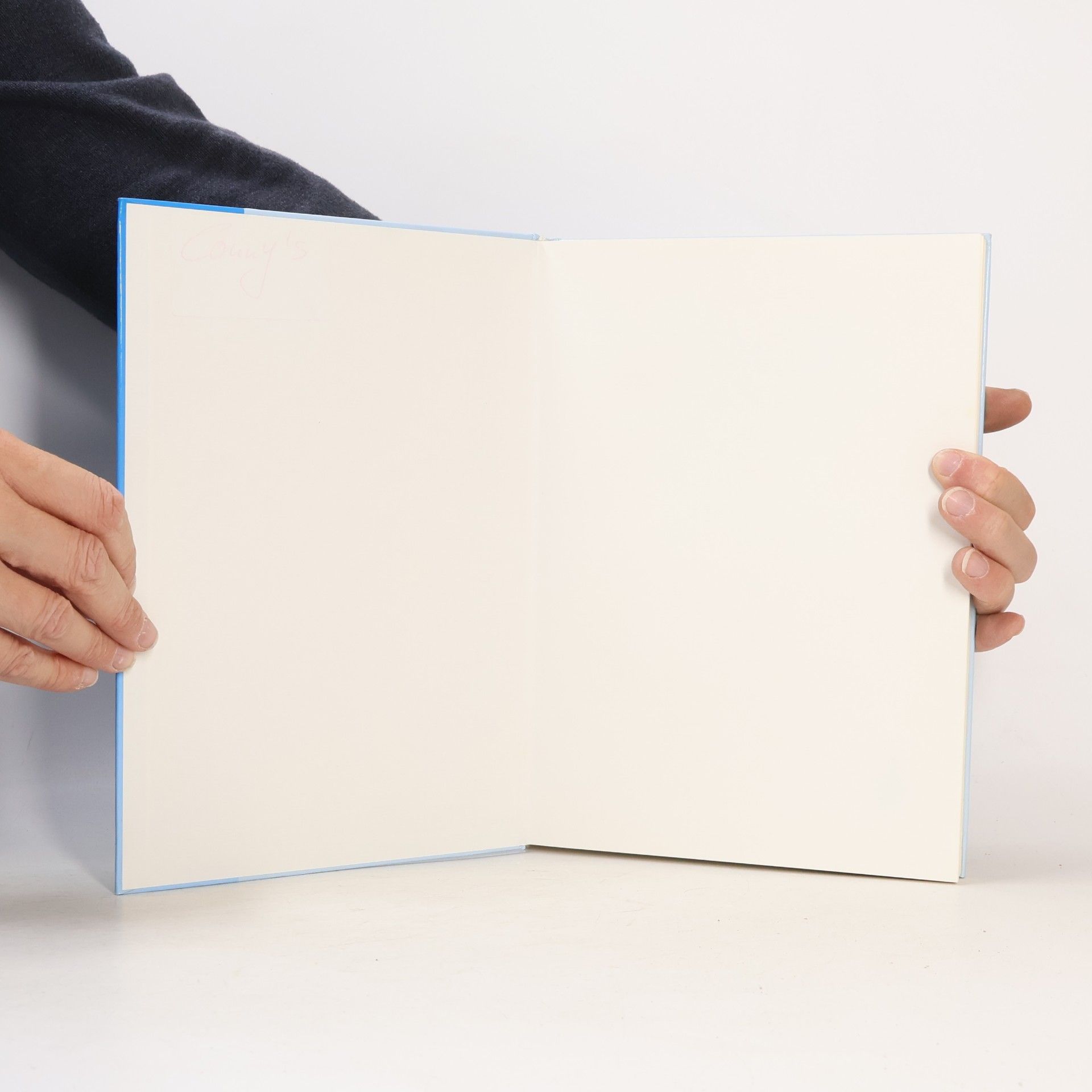 Franz Sitzmann Pflegehandbuch Herdecke