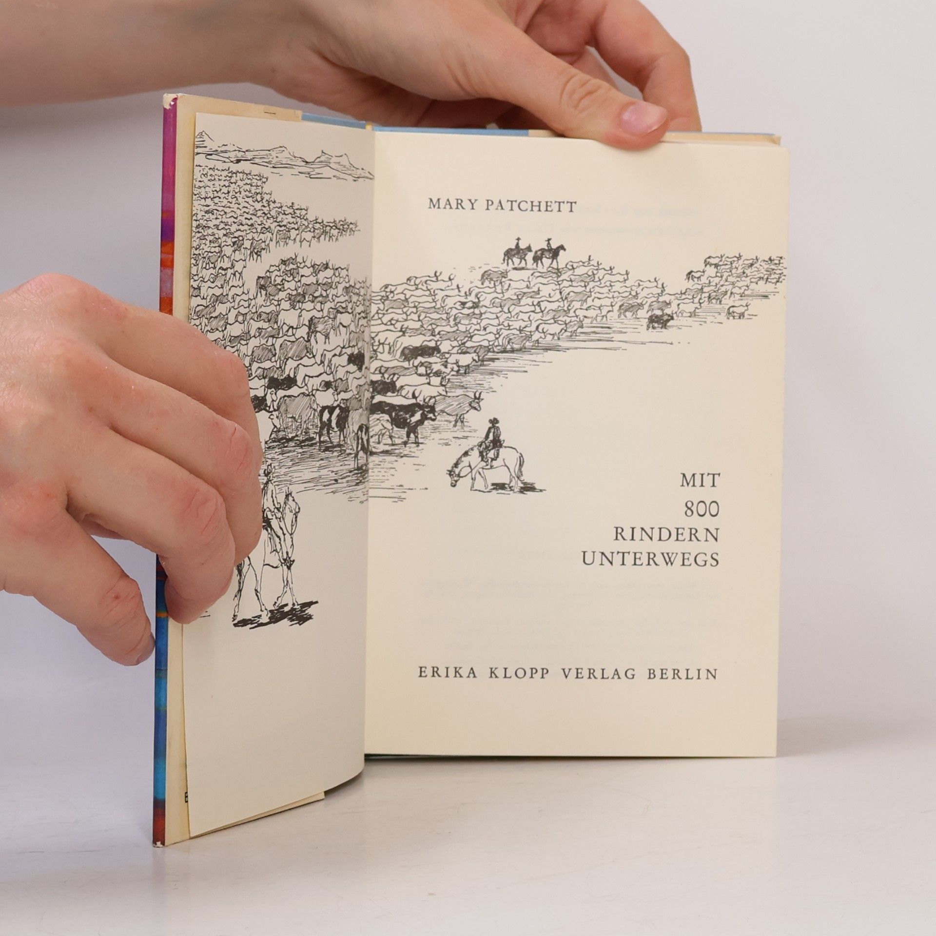 Mary E. Patchett Mit 800 Rindern unterwegs