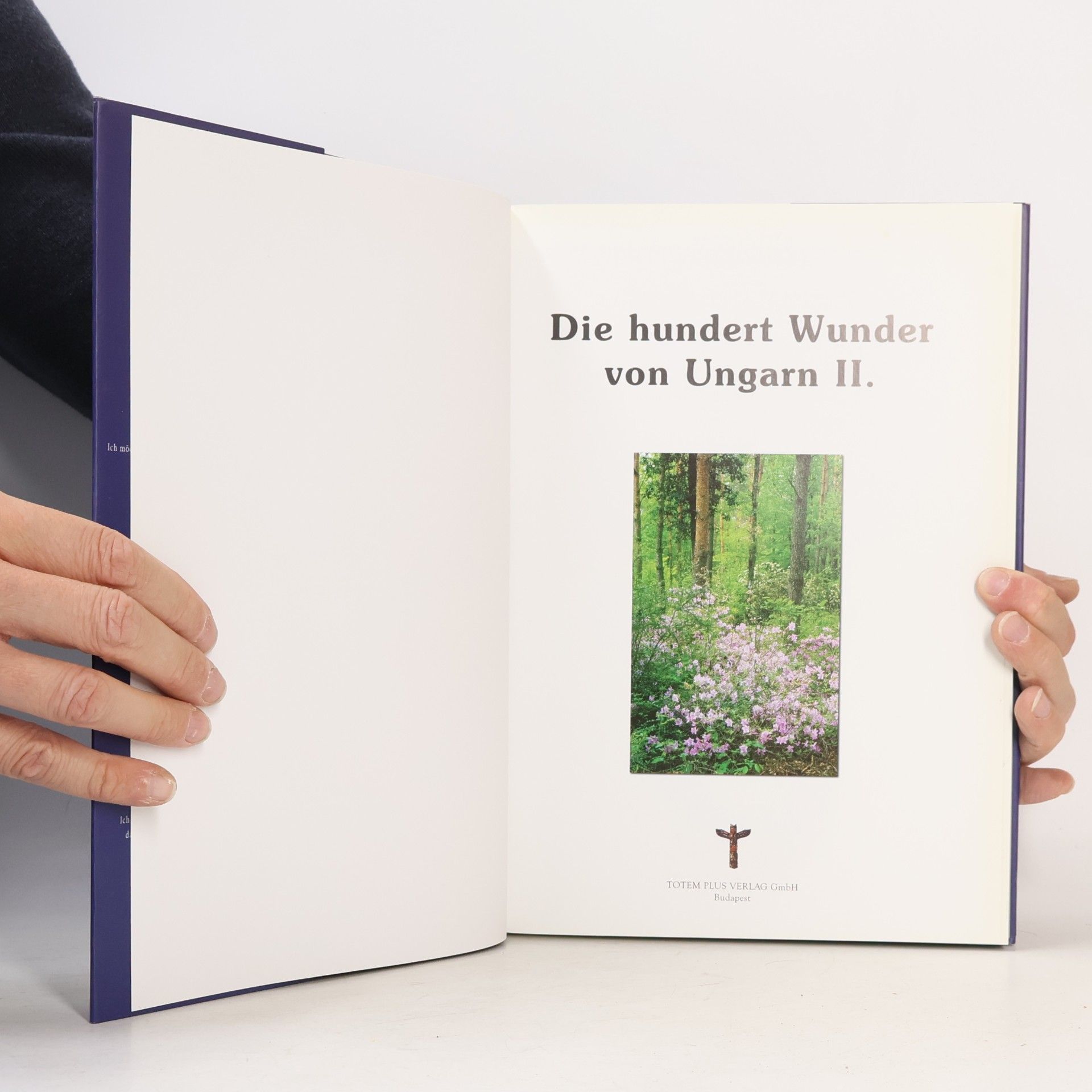 kolektiv Hundert Wunder in Ungarn II