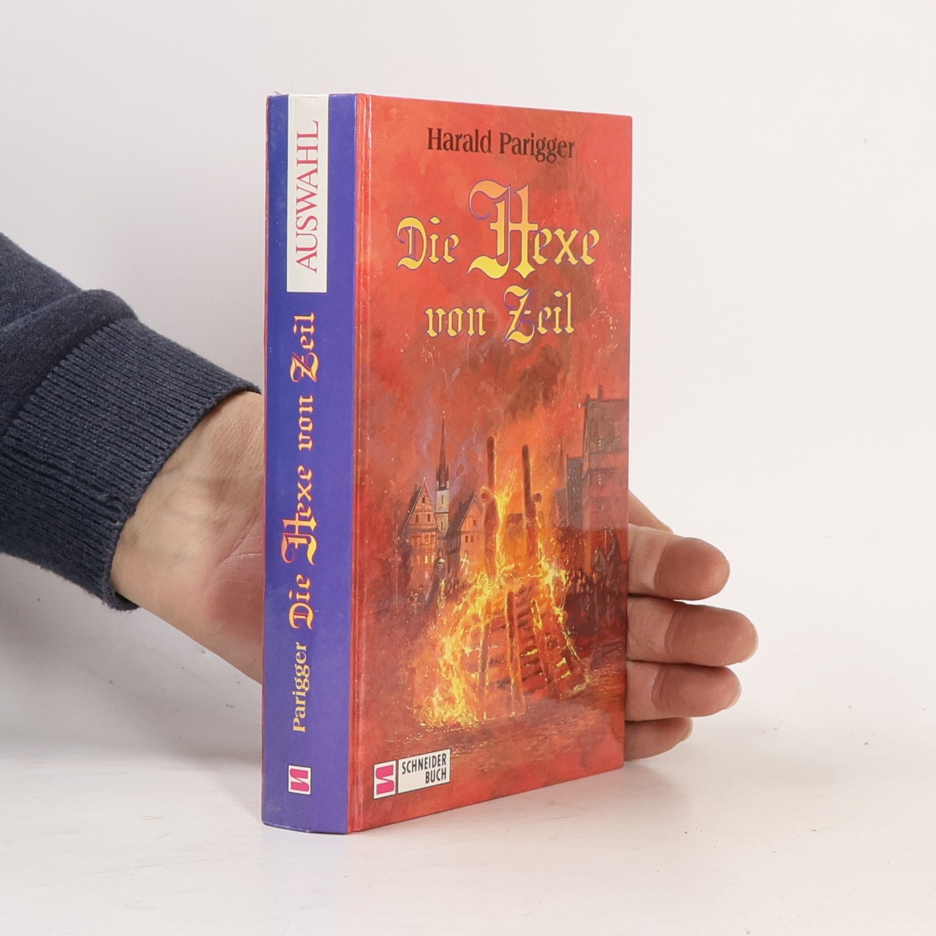 Harald Parigger Die Hexe von Zeil
