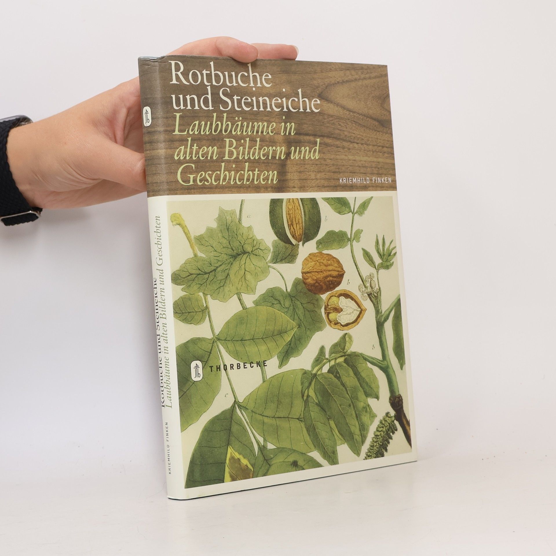 Kriemhild Finken Rotbuche und Steineiche