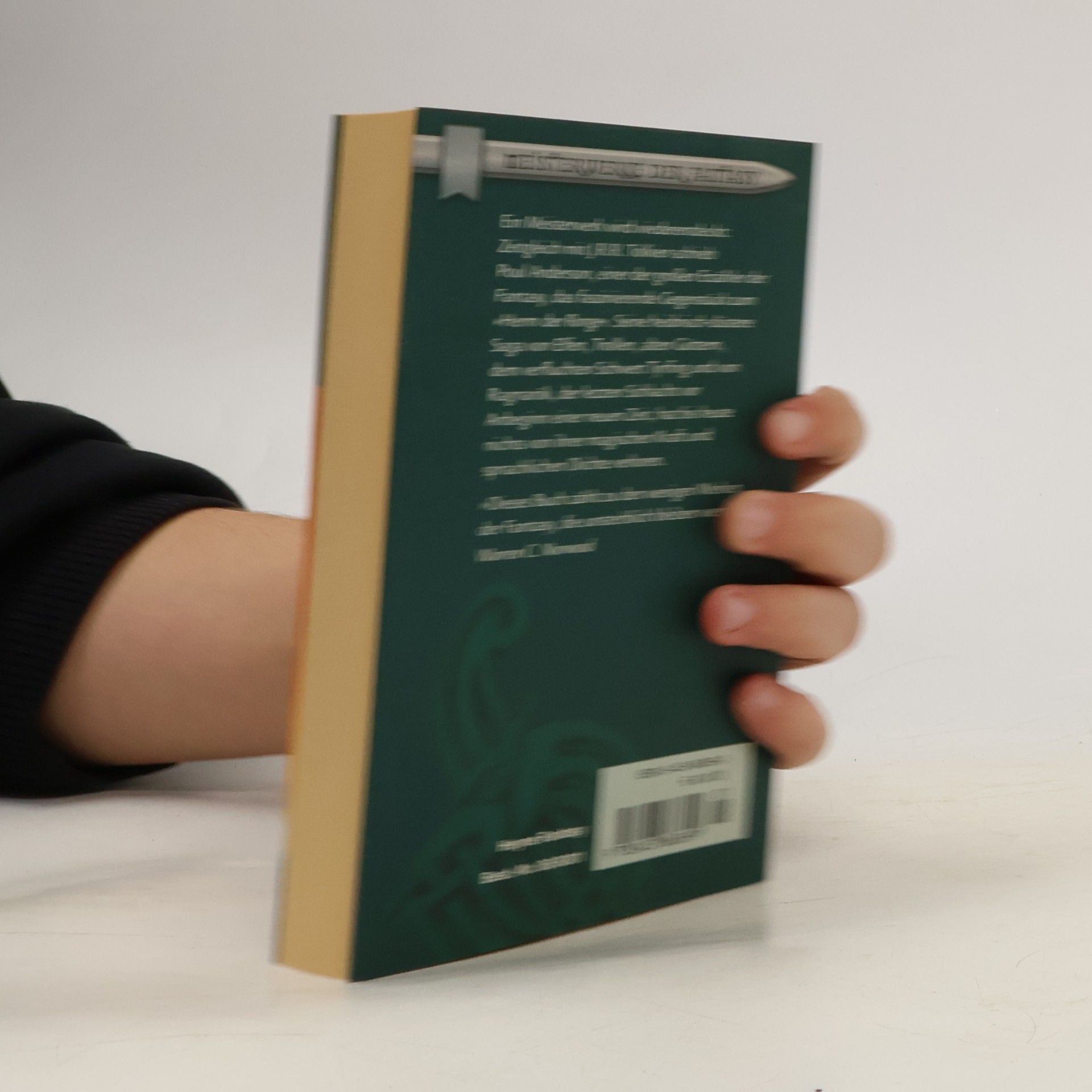 Poul Anderson Das zerbrochene Schwert