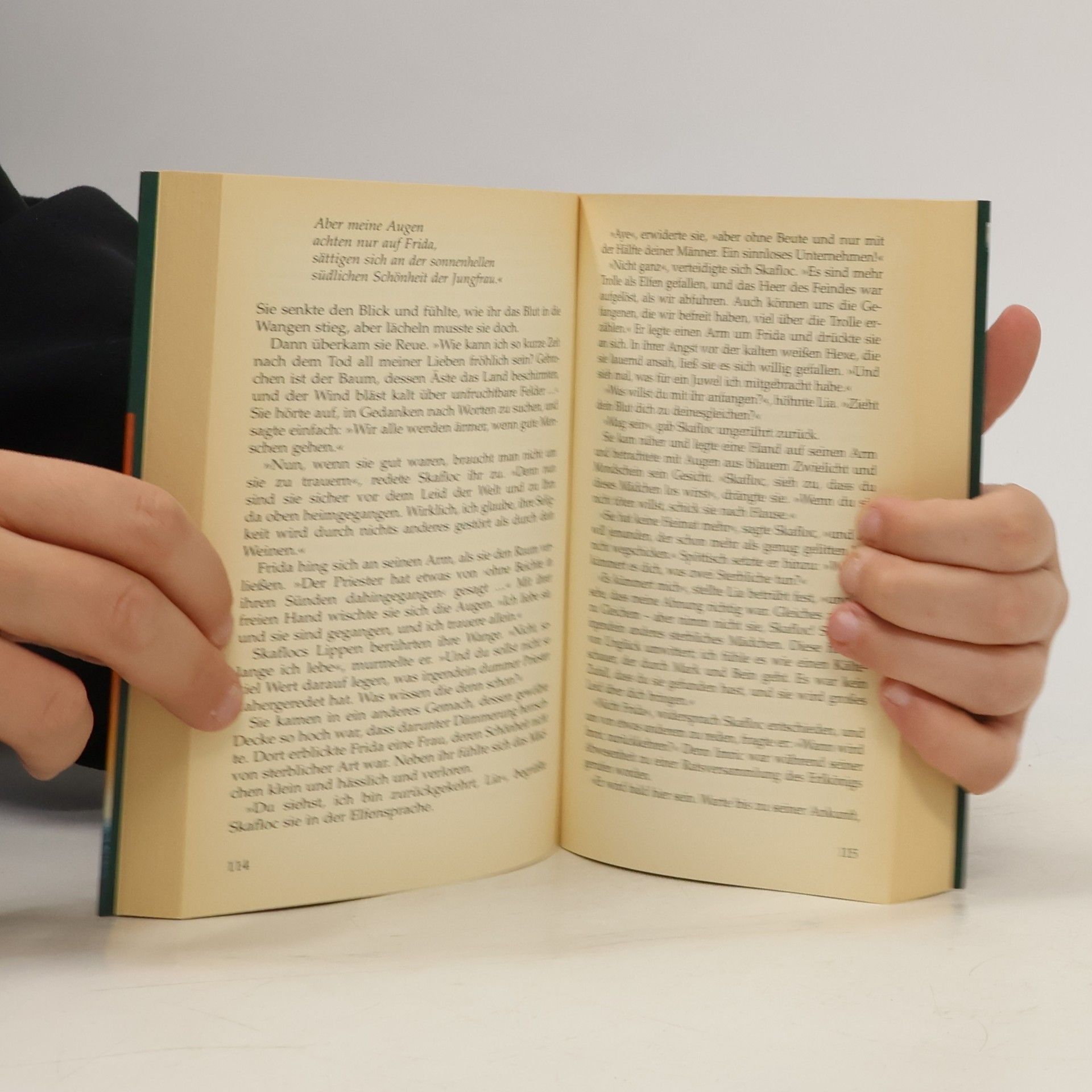 Poul Anderson Das zerbrochene Schwert