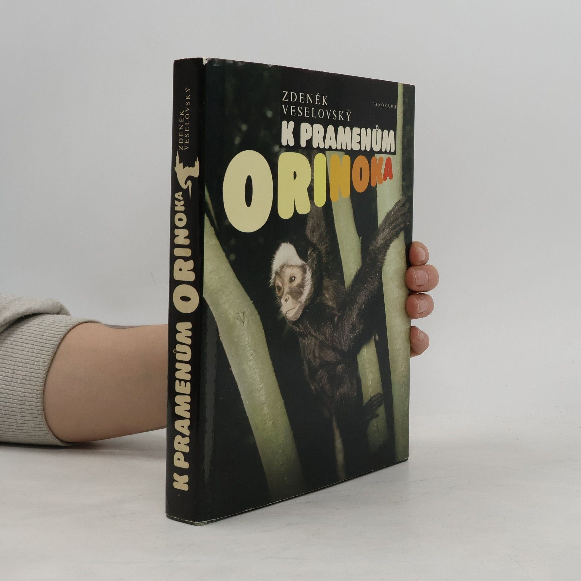 K pramenům Orinoka