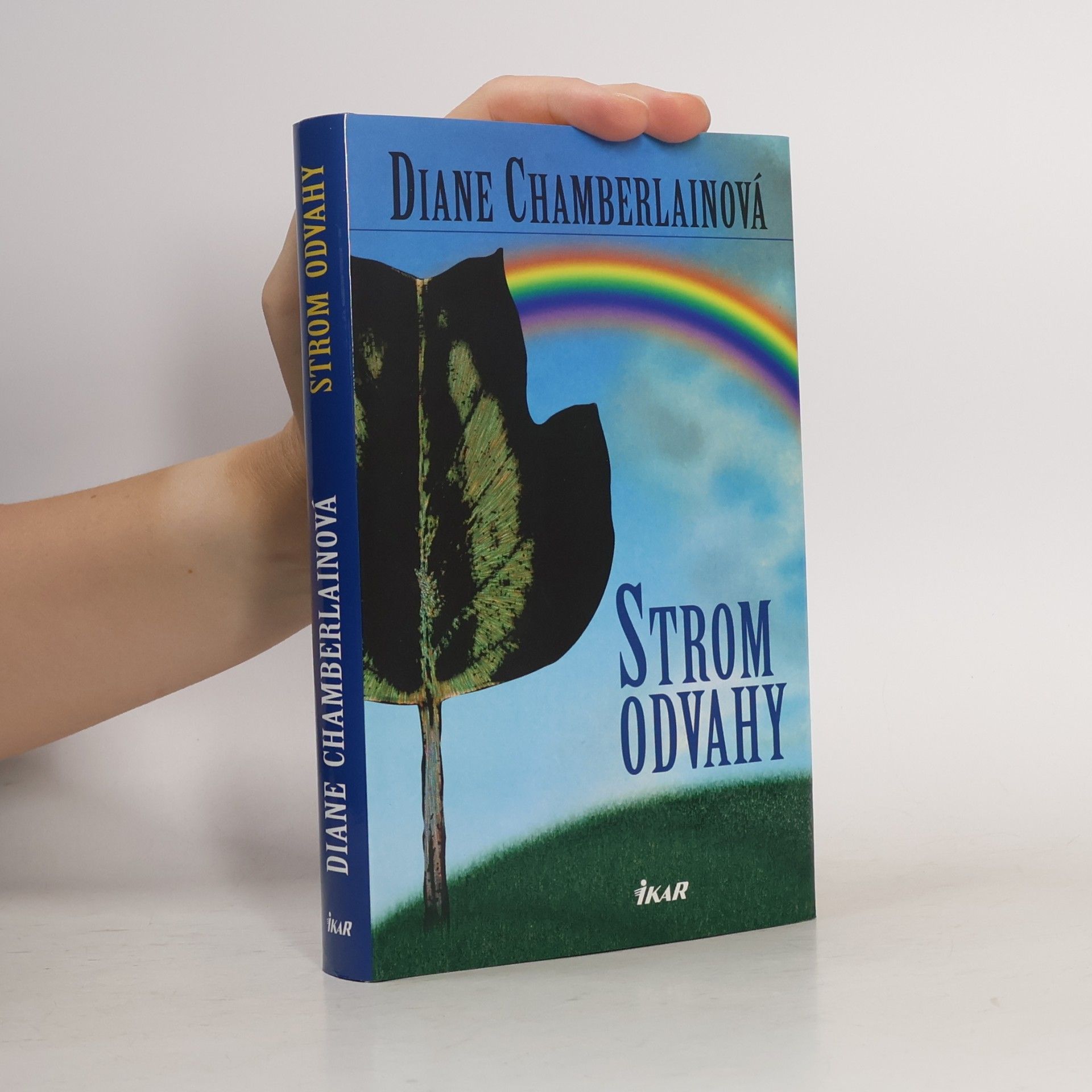 Diane Chamberlain Strom odvahy