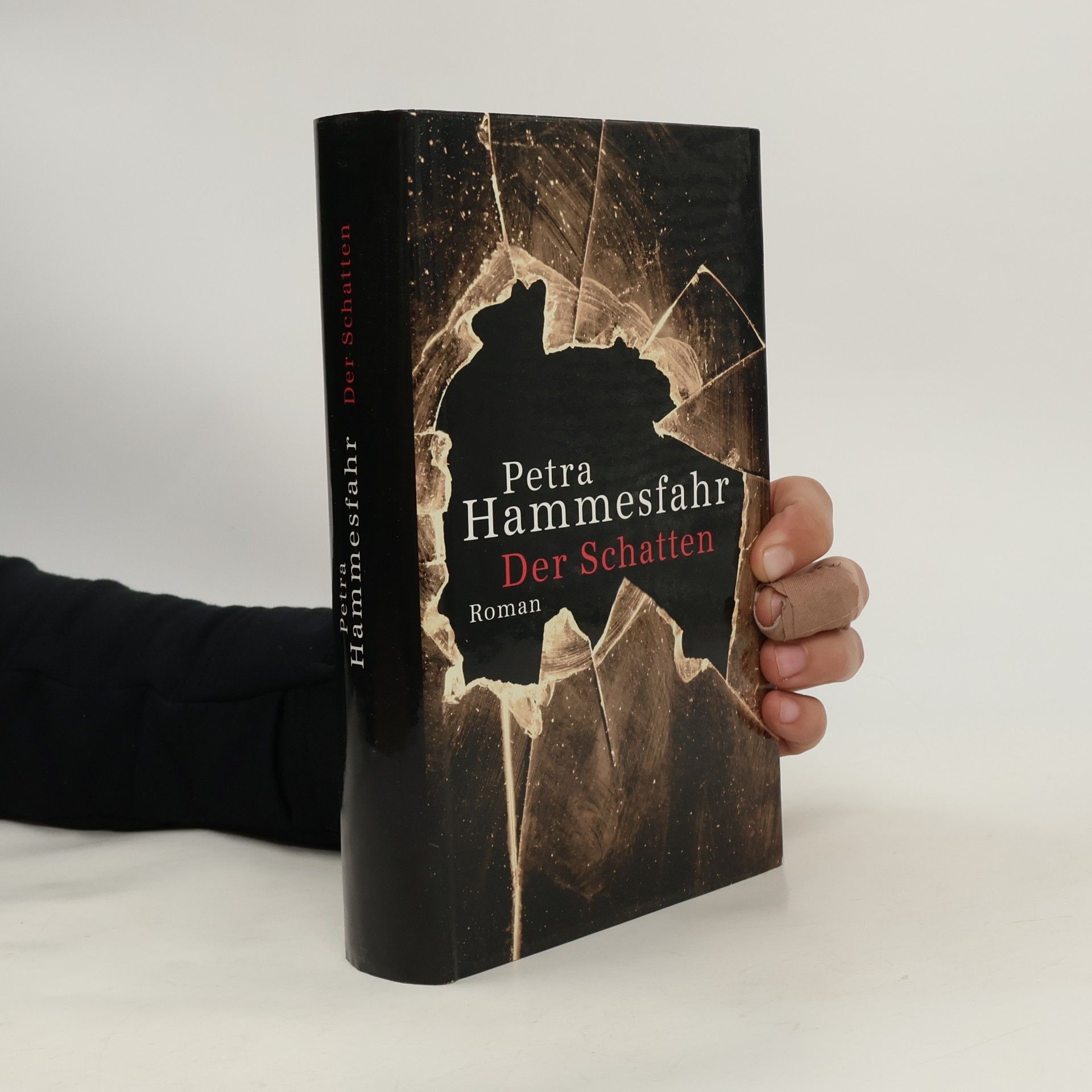 Petra Hammesfahr Der Schatten