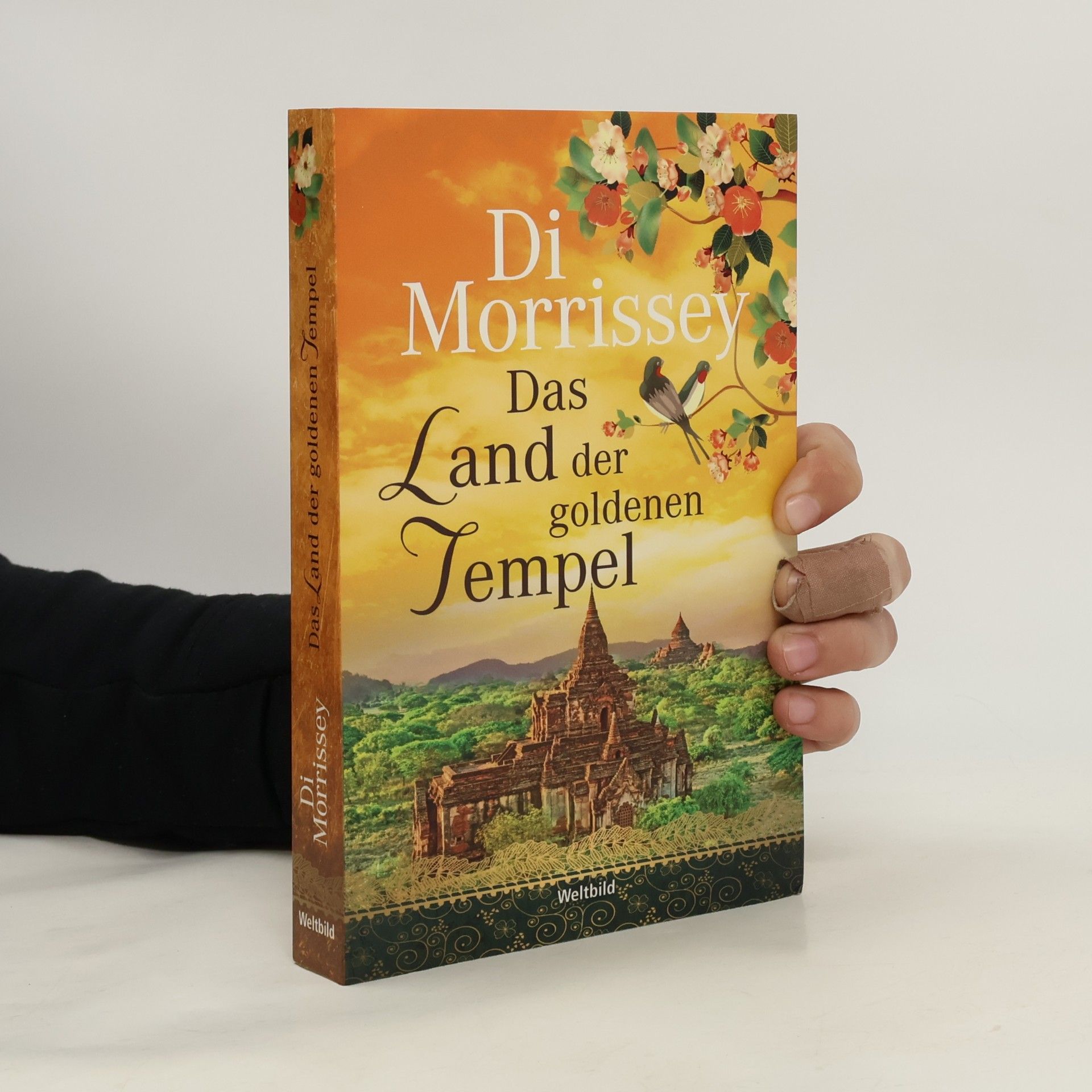 Di Morrissey Das Land der goldenen Tempel