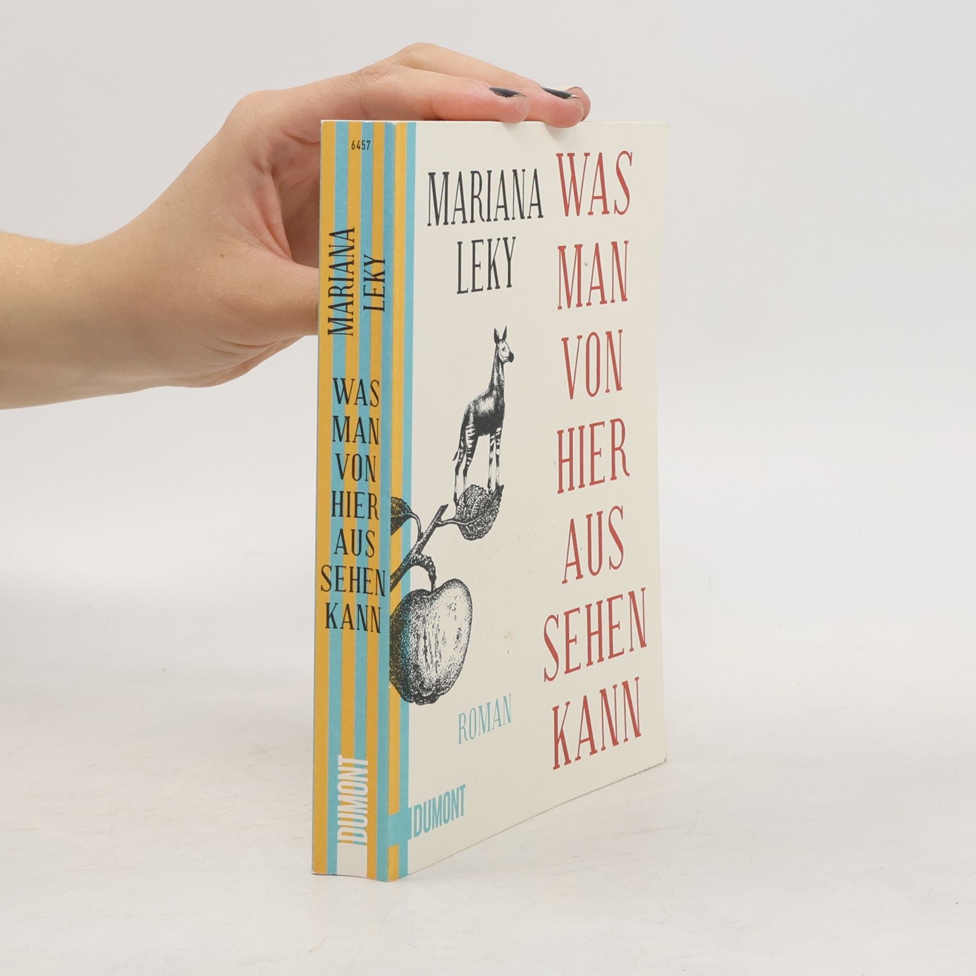 Mariana Leky Was man von hier aus sehen kann