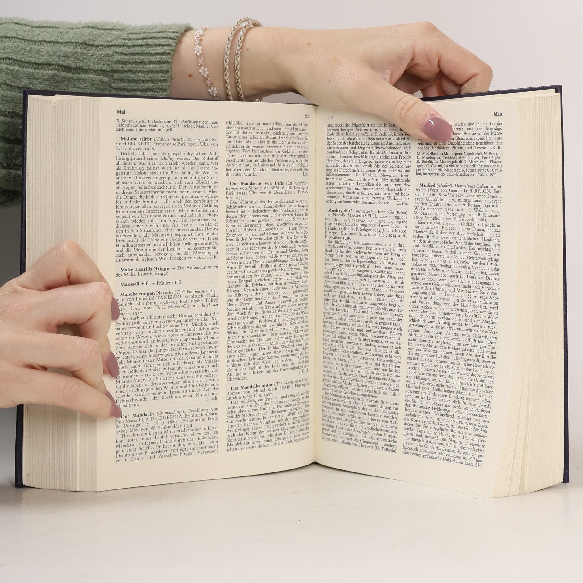 Gero von Wilpert Lexikon der Weltliteratur