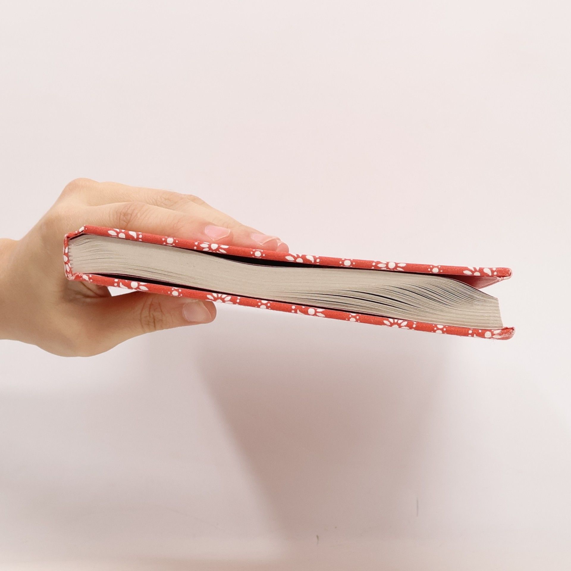 Hanns U. Christen Das Kochbuch aus der Schweiz