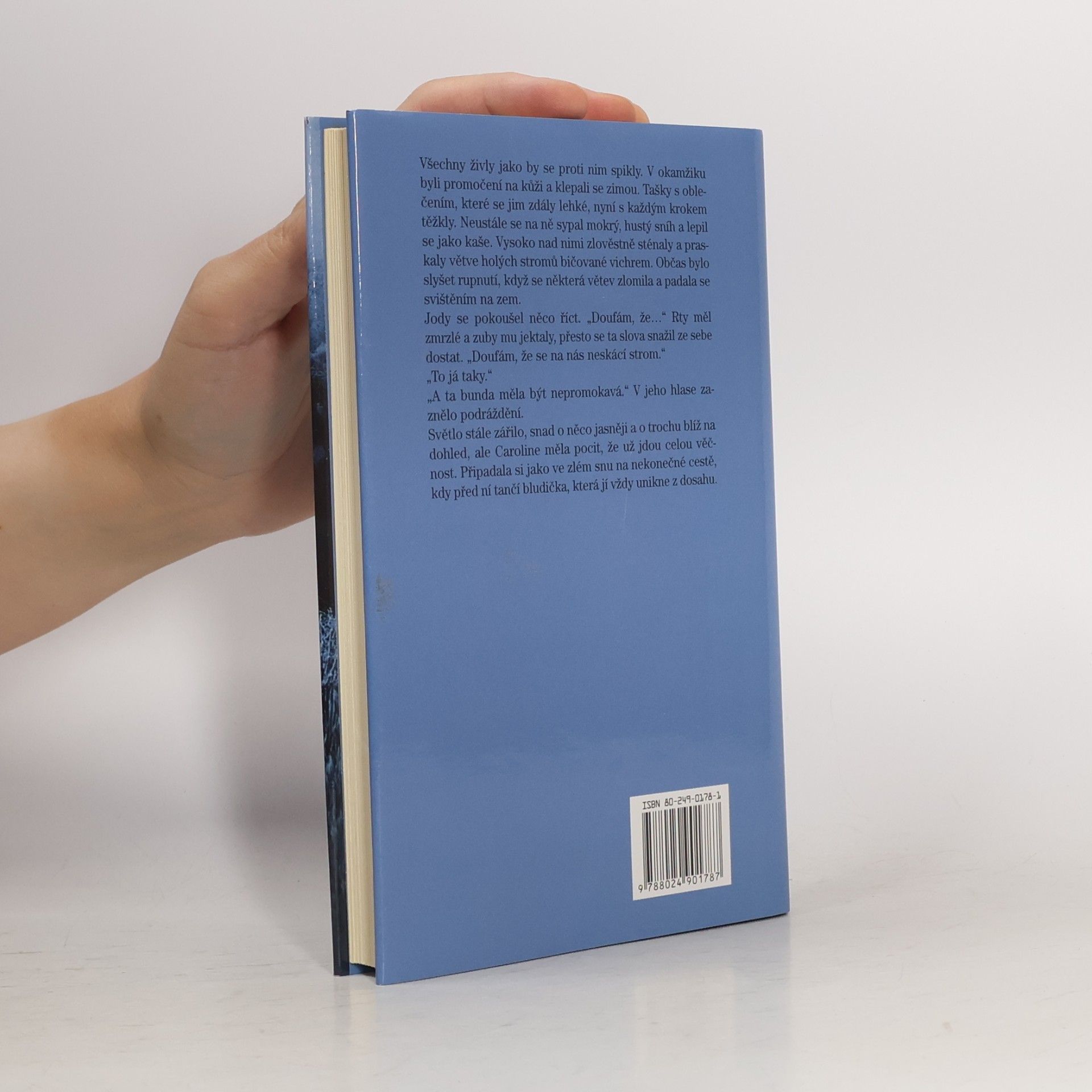 Rosamunde Pilcher Jarní vánice