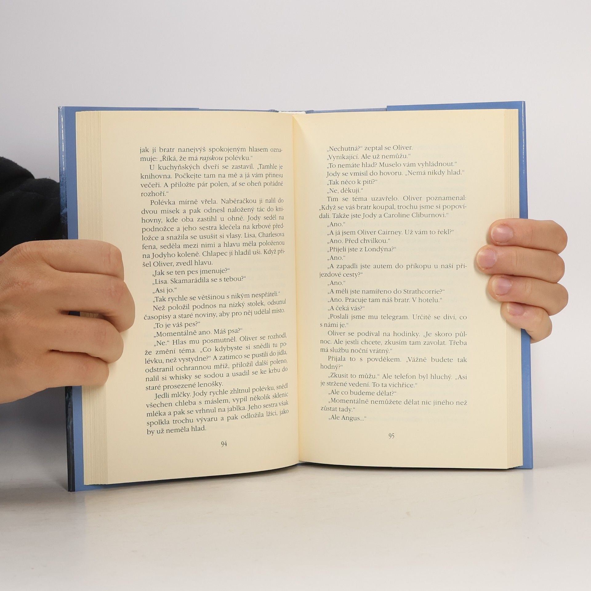 Rosamunde Pilcher Jarní vánice