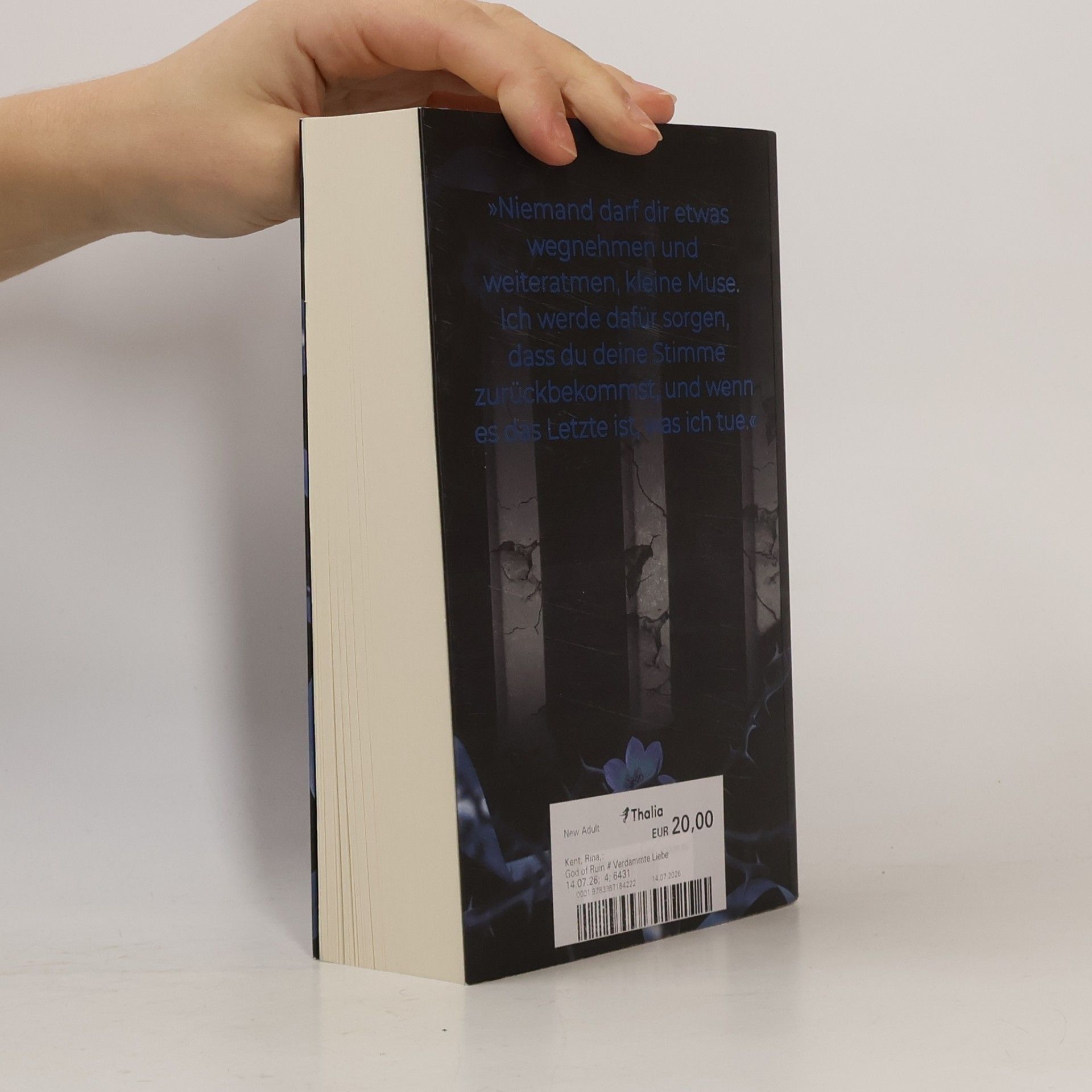 Rina Kent God of Ruin – Verdammte Liebe