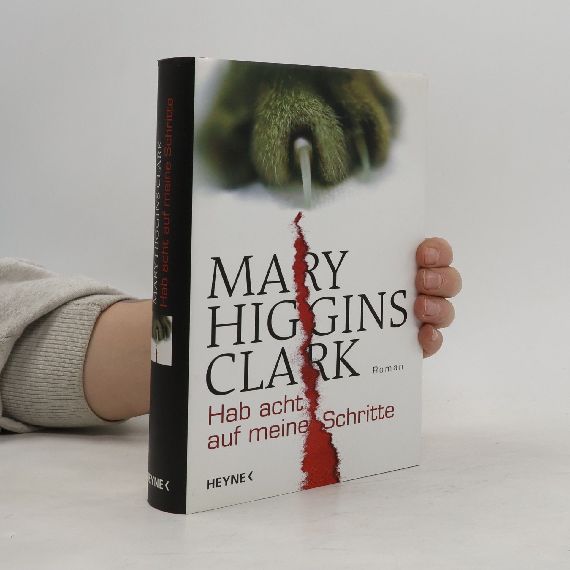 Mary Higgins Clark Hab acht auf meine Schritte