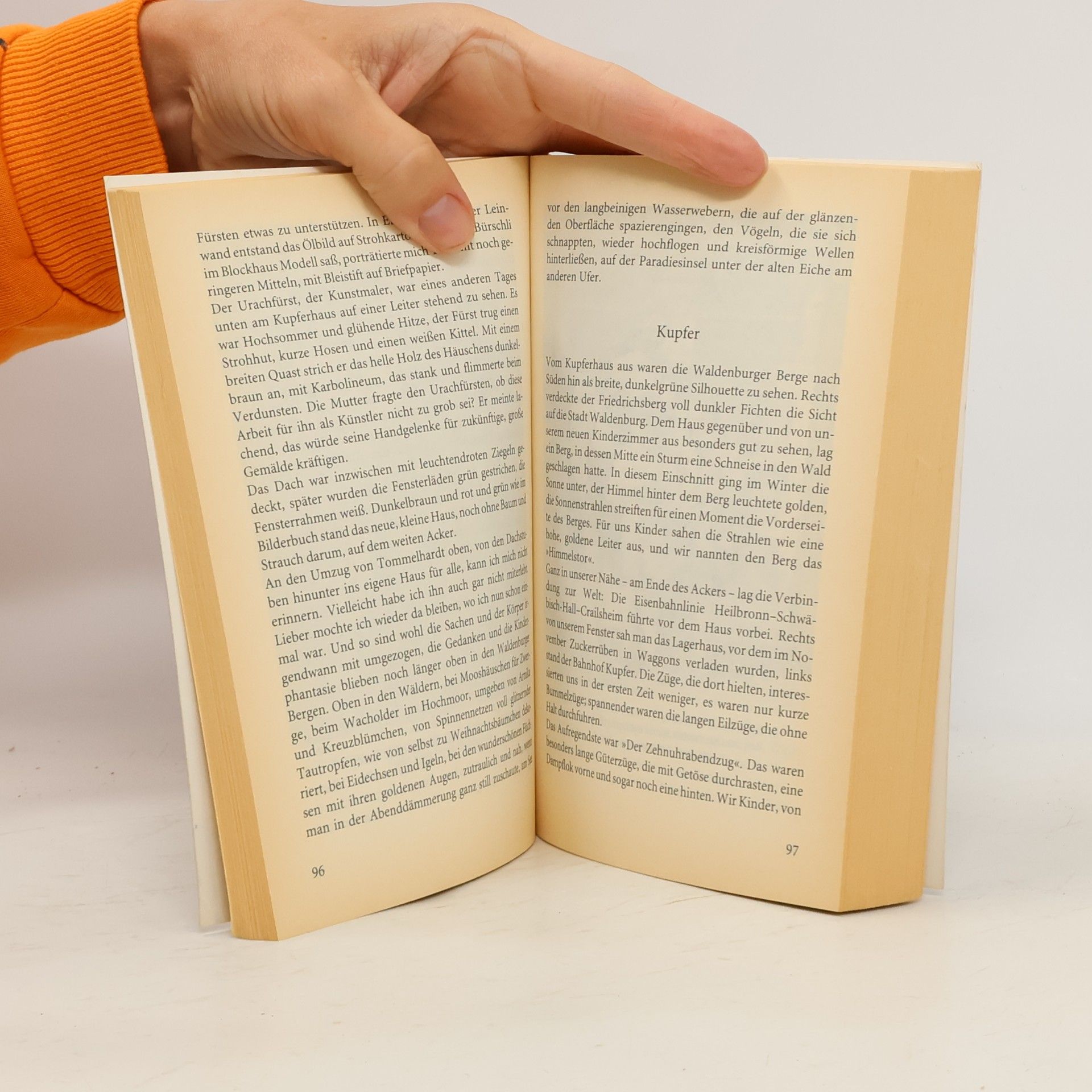Clara von Arnim Das bunte Band des Lebens