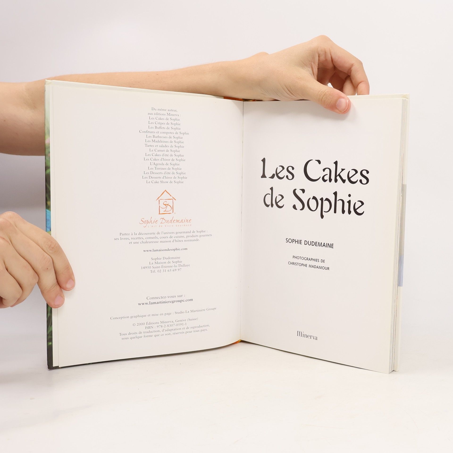 Sophie Dudemaine Les cakes de Sophie