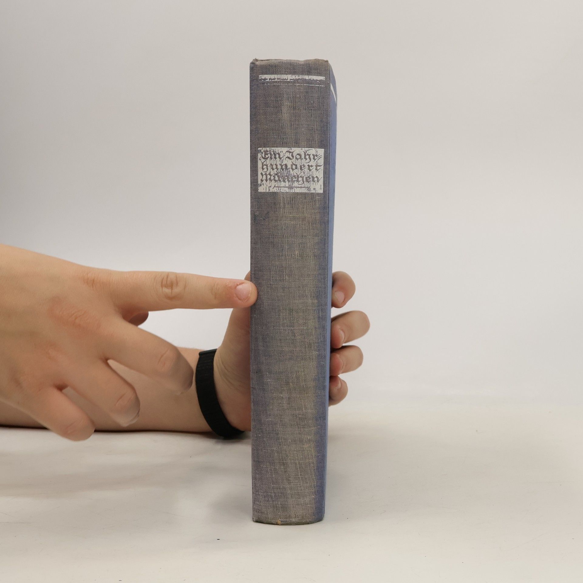 Georg Jacob Wolf Ein Jahrhundert München 1800-1900