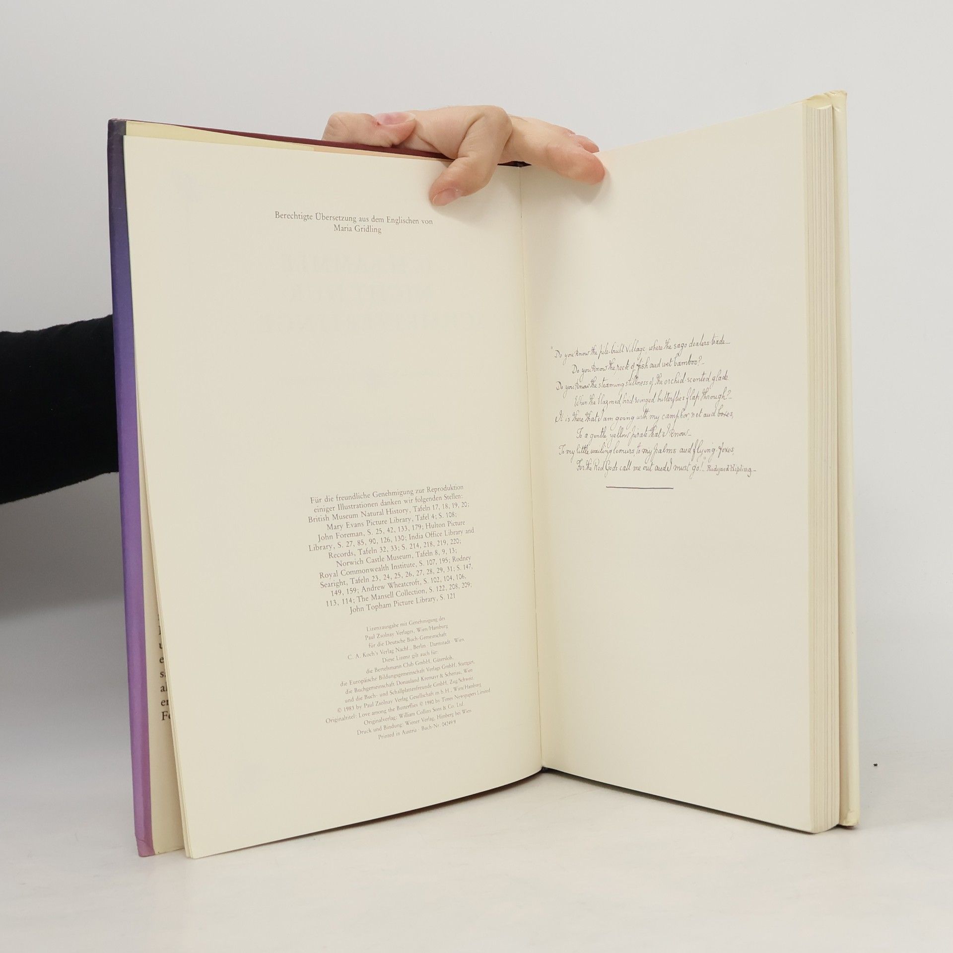 Margaret Fountaine Ich sammle nicht nur Schmetterlinge