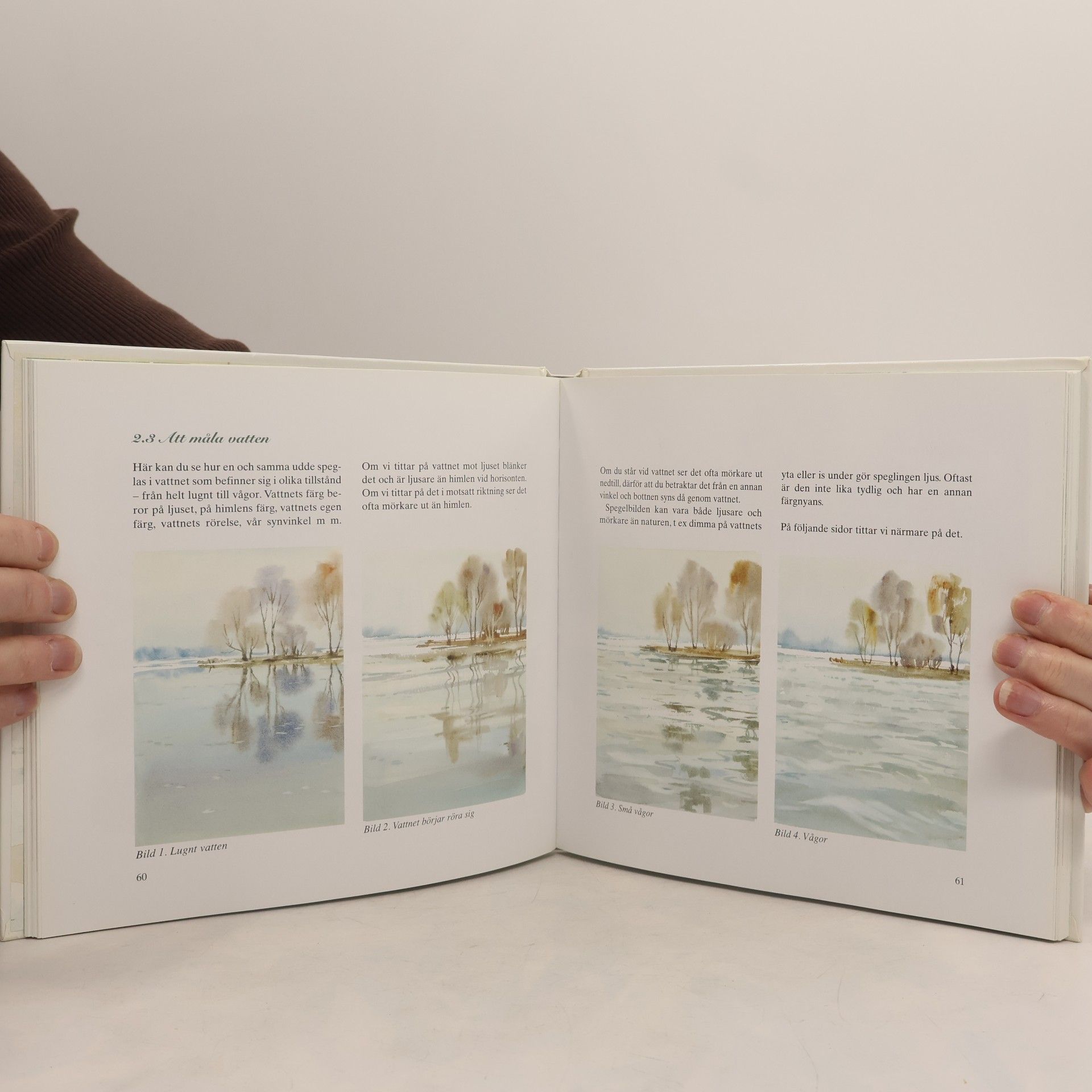 Maria Ginzburg Stora boken om att måla i akvarell