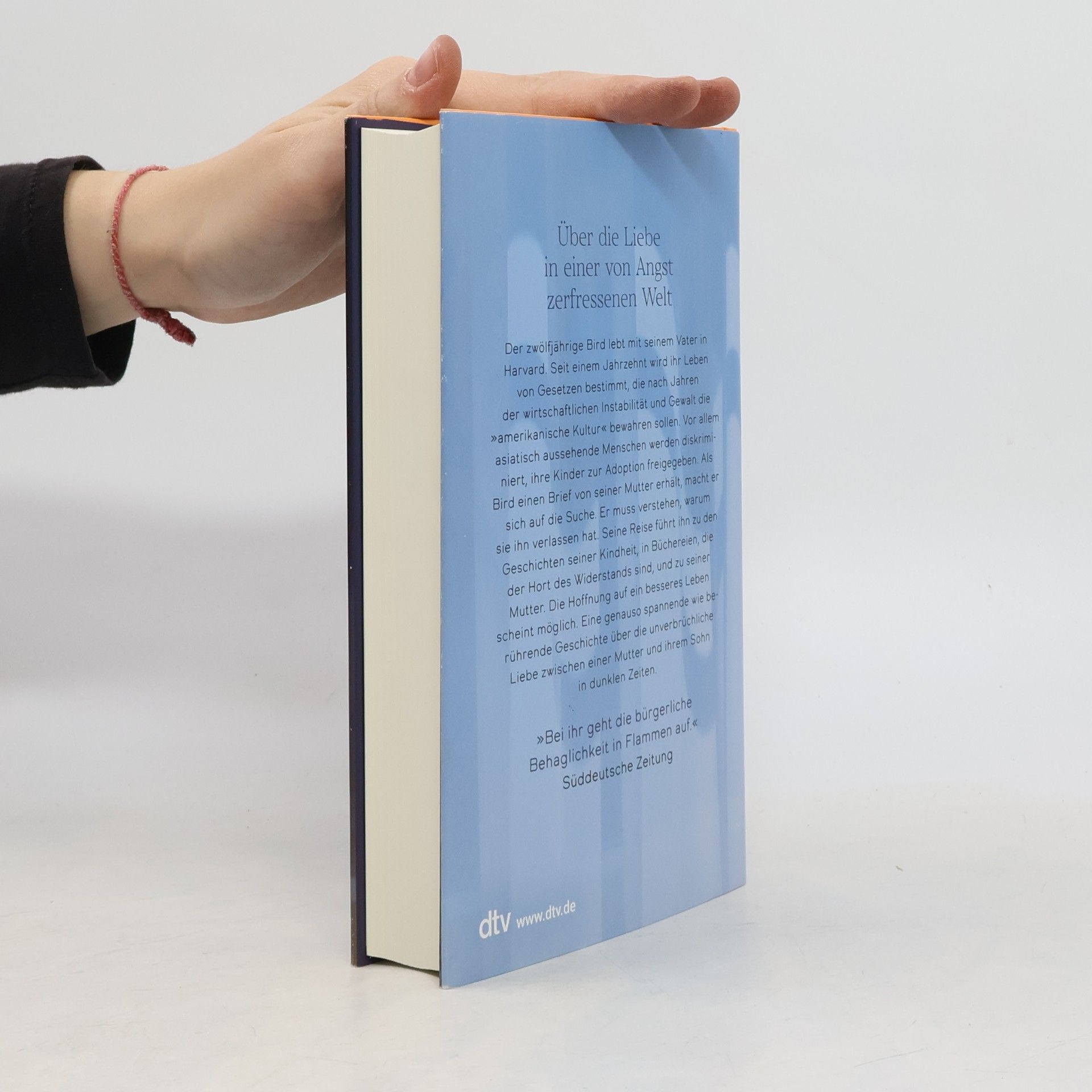 Celeste Ng Unsere verschwundenen Herzen