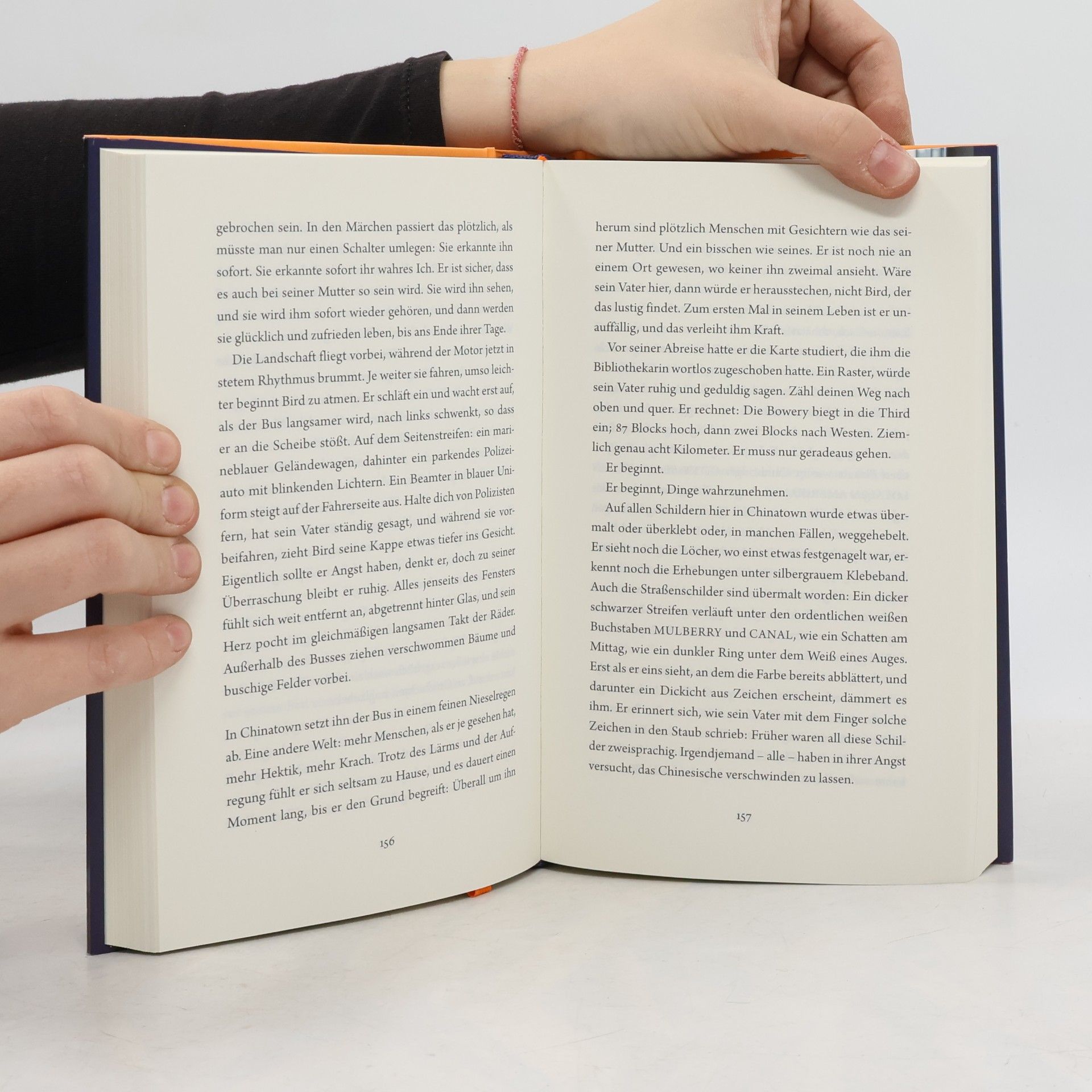 Celeste Ng Unsere verschwundenen Herzen