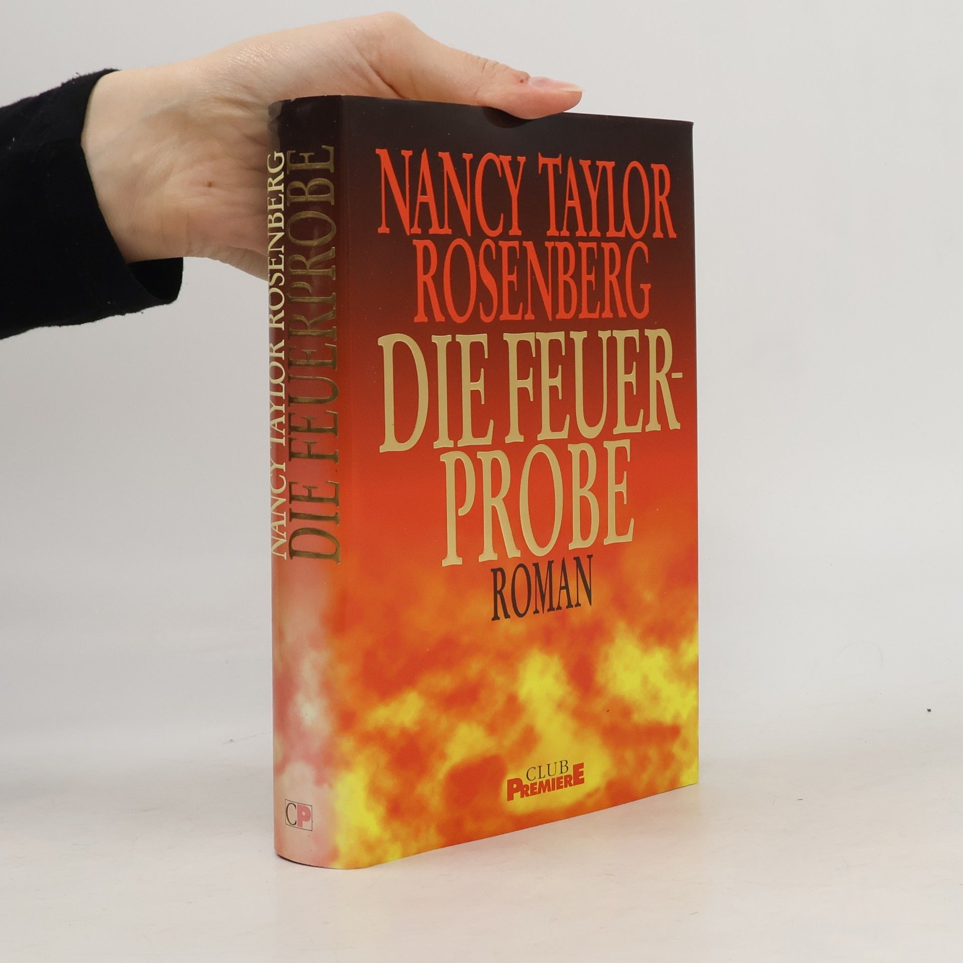 Nancy Taylor Rosenberg Die Feuerprobe