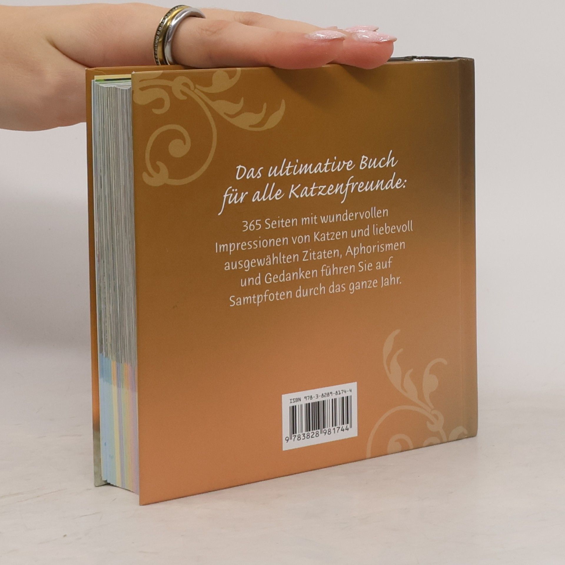 Autorenkollektiv Ein Jahr voller Katzenglück